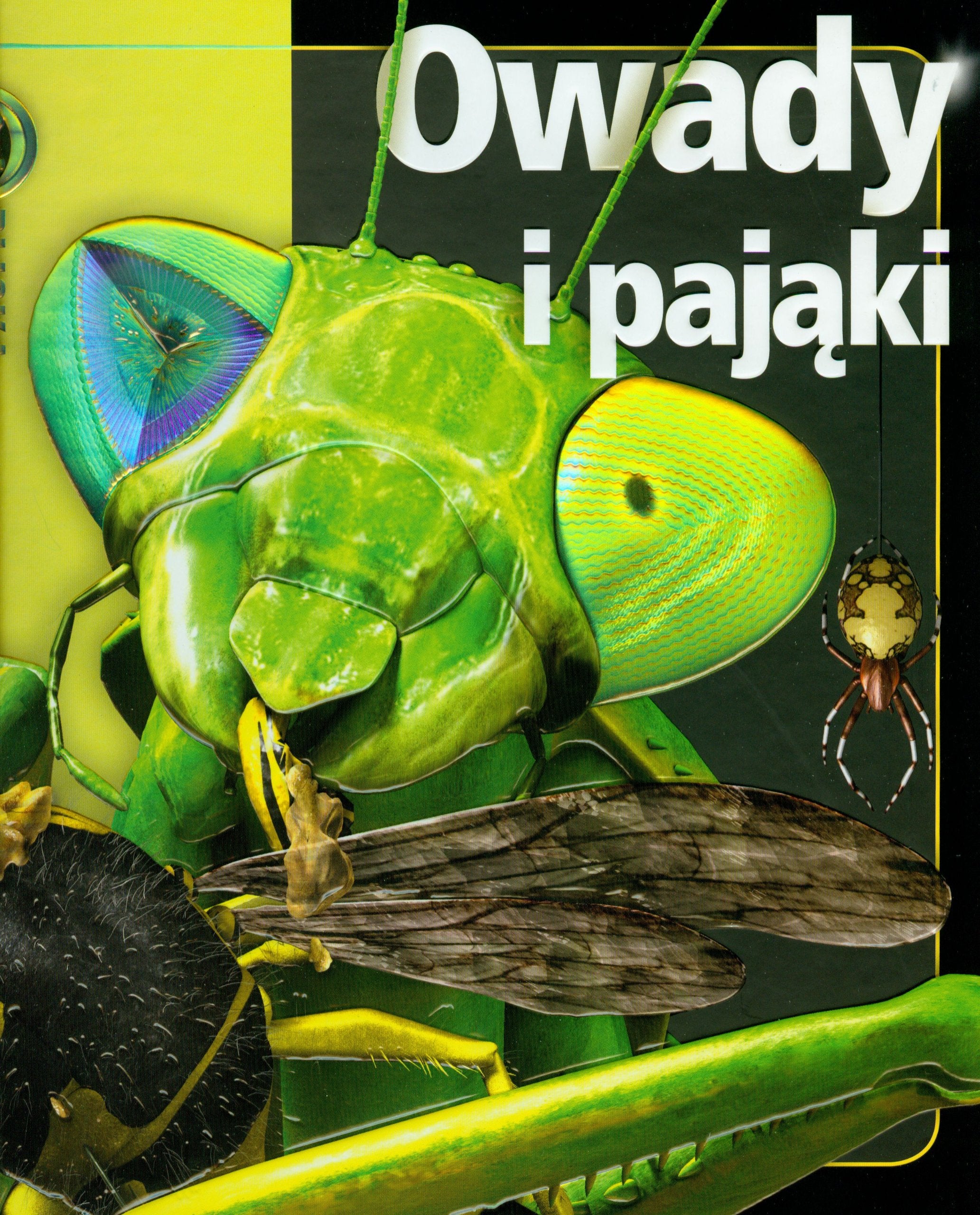Owady i pająki (Z BLISKA) Books