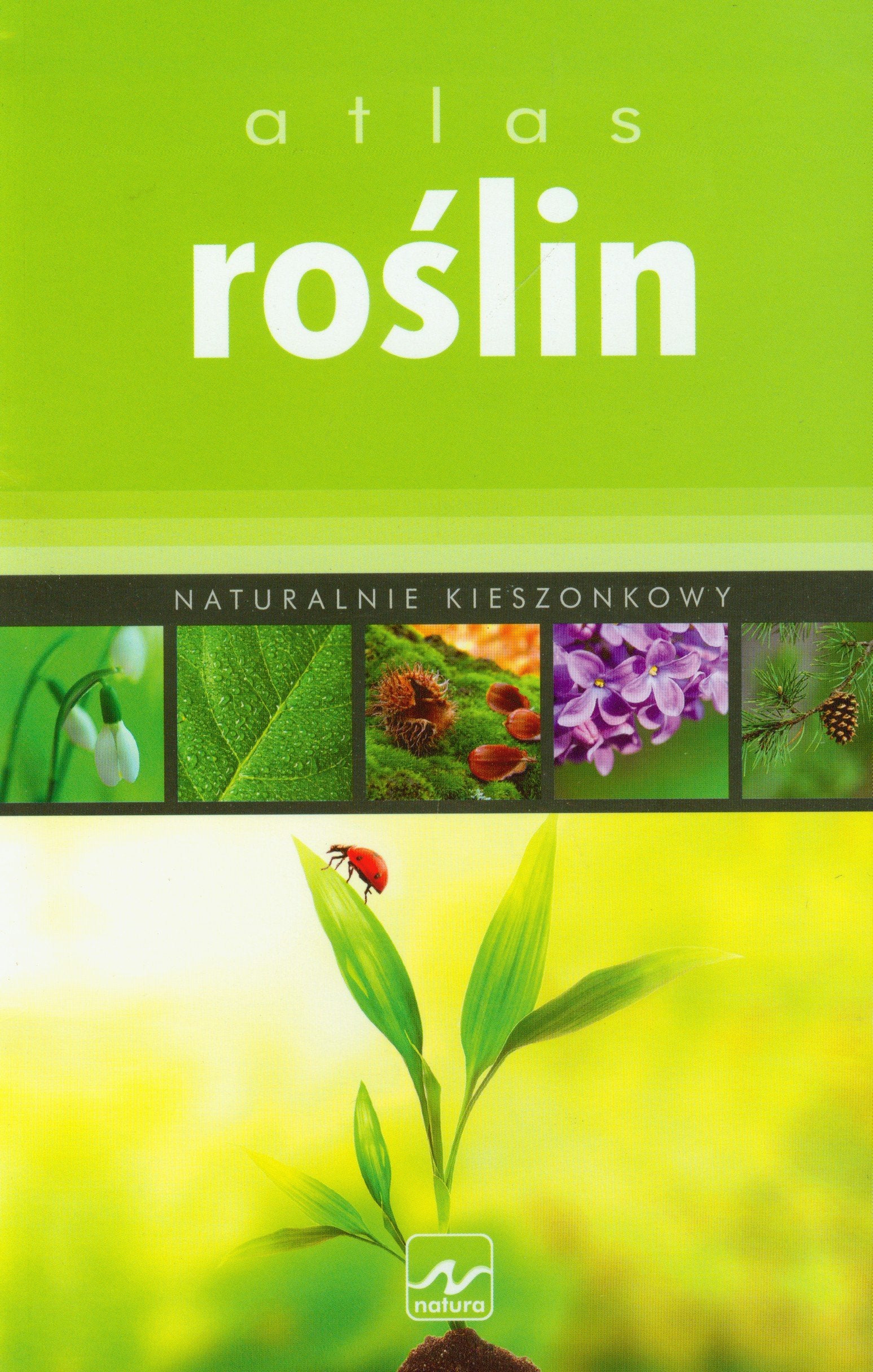 Atlas roślin book