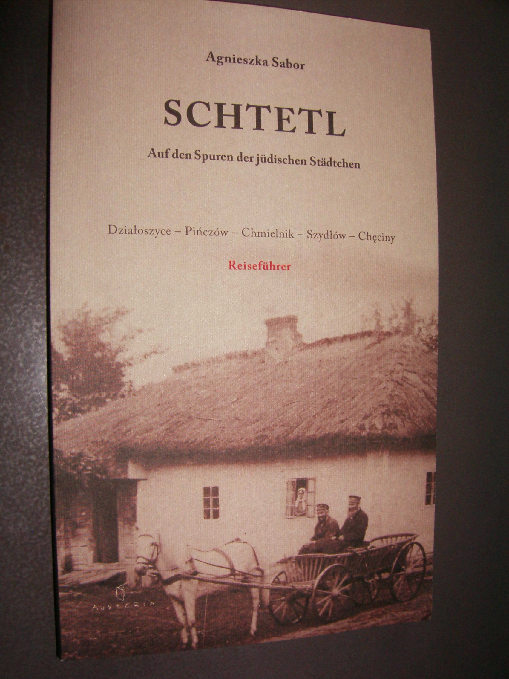 SCHTETL AUF DEN SPUREN DER JUDISCHEN STADTCHEN book