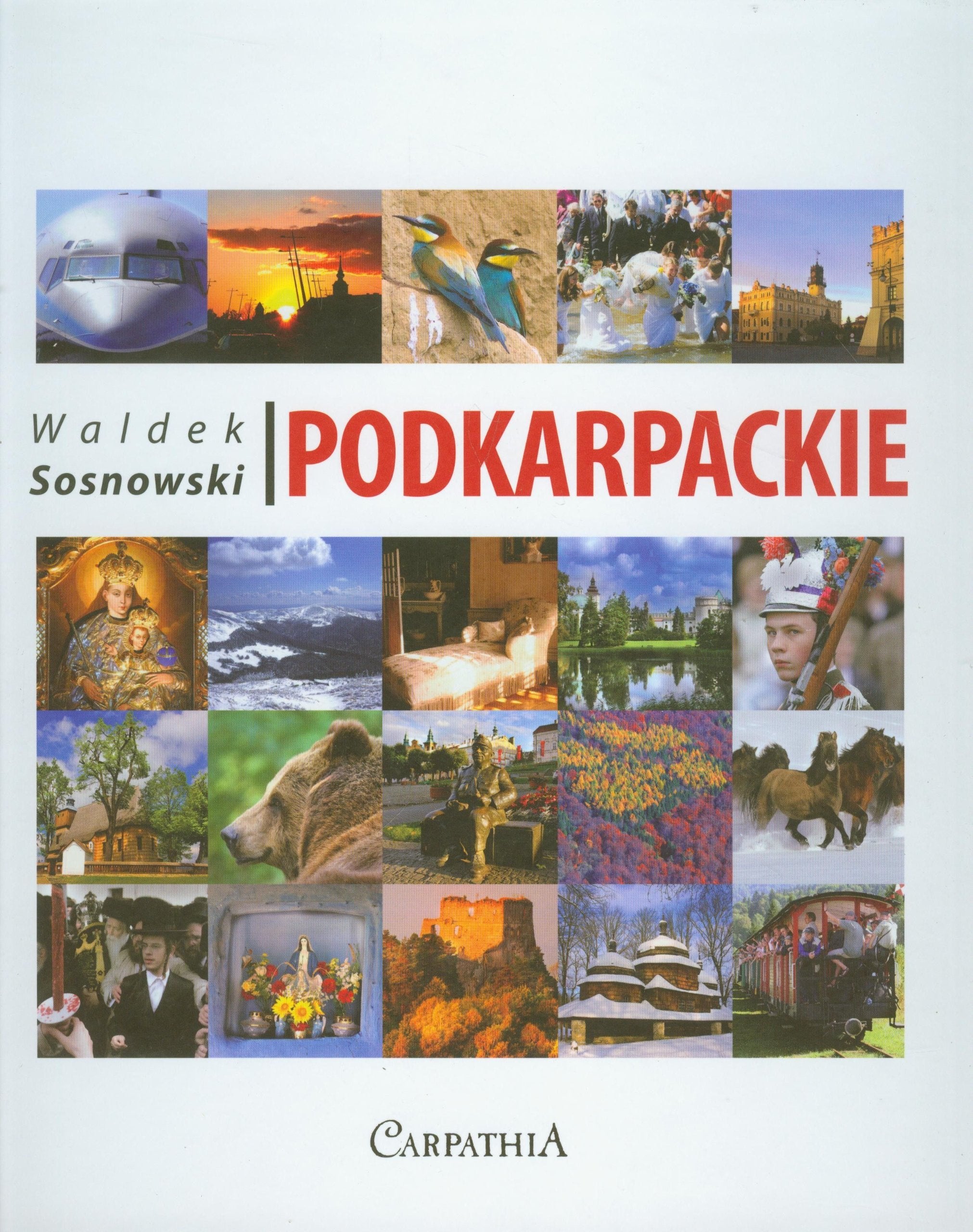 Podkarpackie Geology & Geography