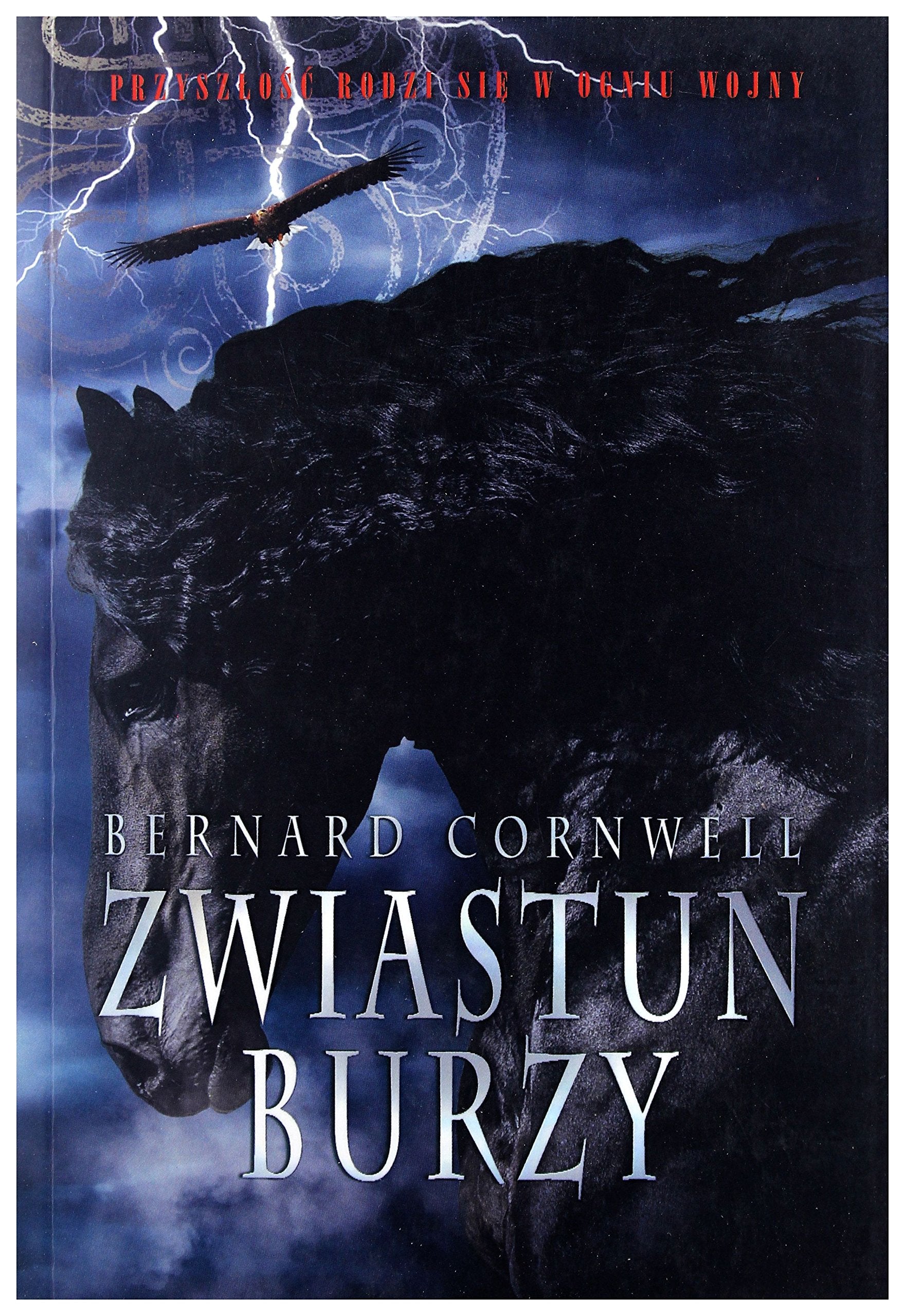 Zwiastun burzy book