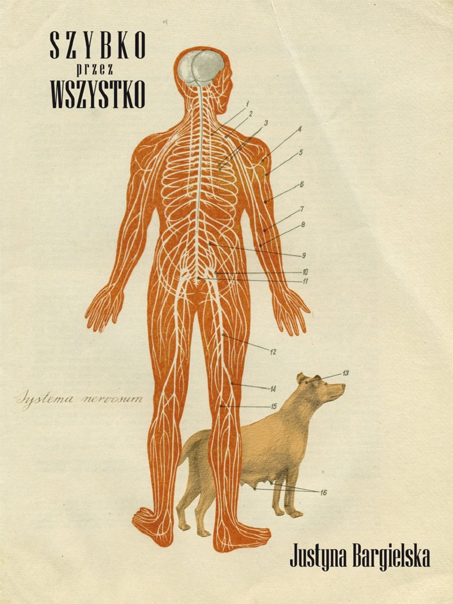 Szybko przez wszystko (POEZJE) Poetry