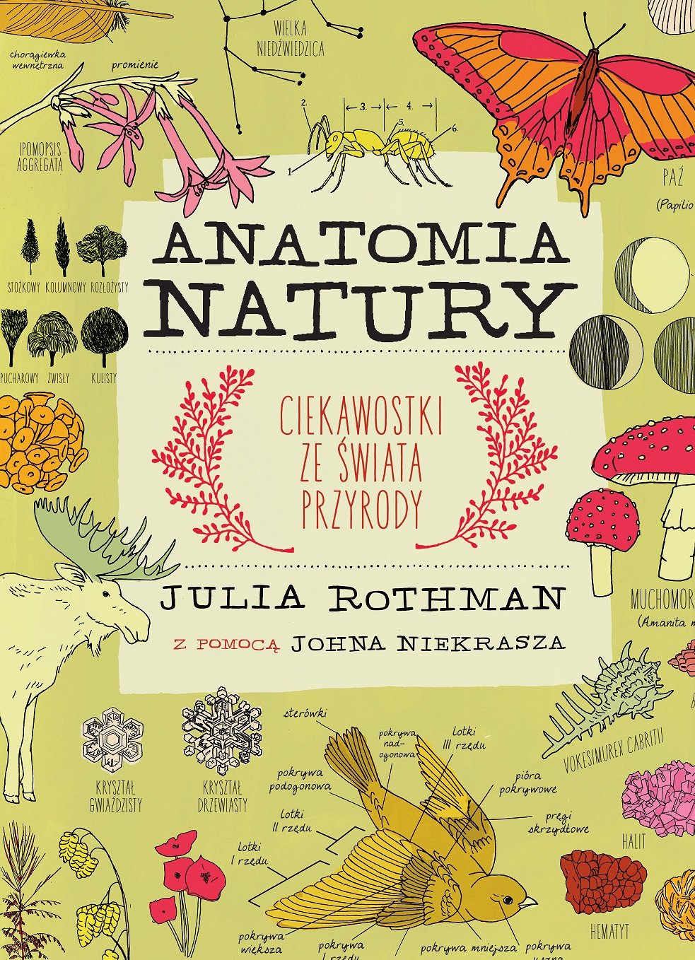 Anatomia natury book