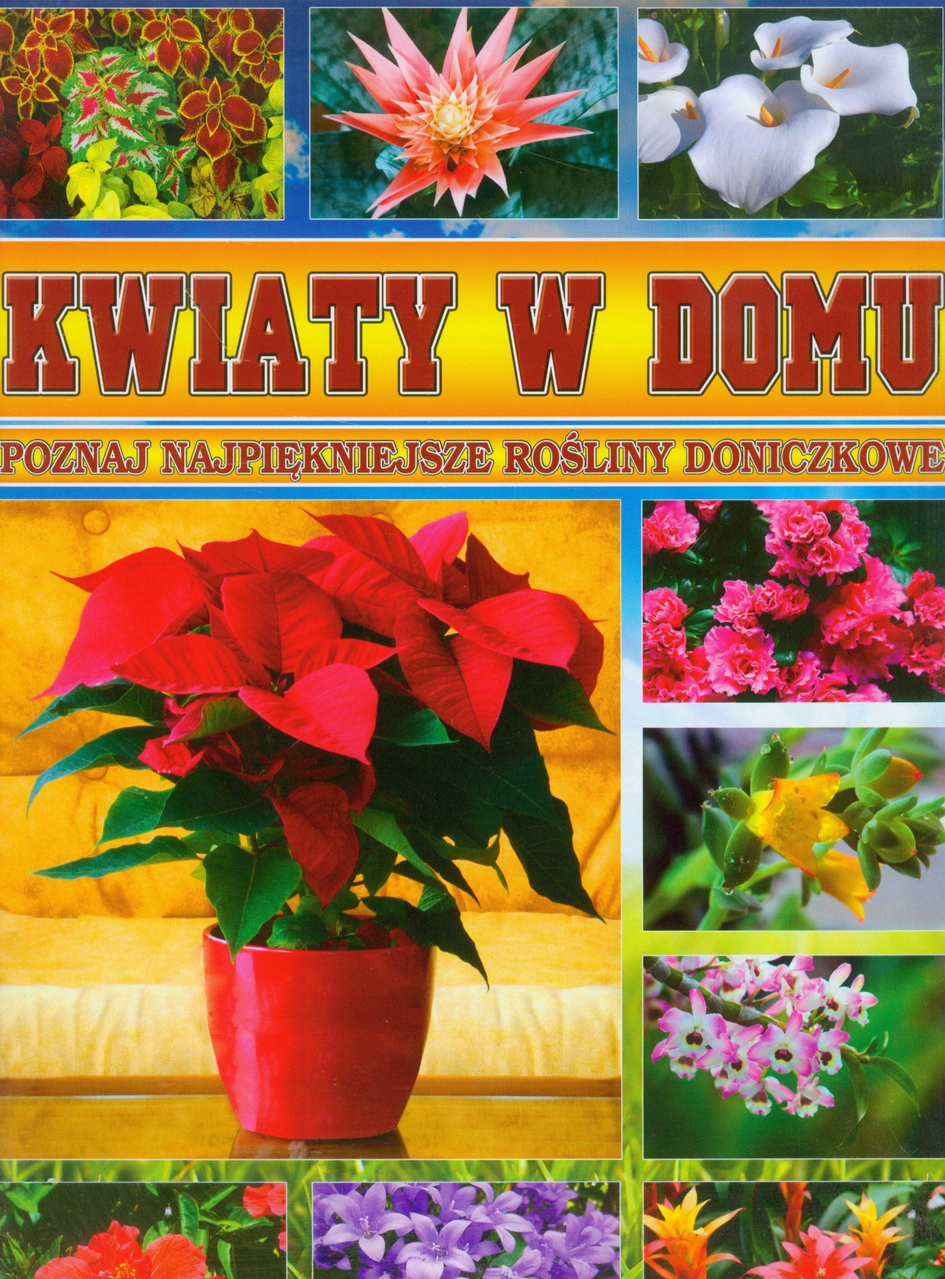 Kwiaty w domu: Poznaj najpiękniejsze rośliny doniczkowe. Books