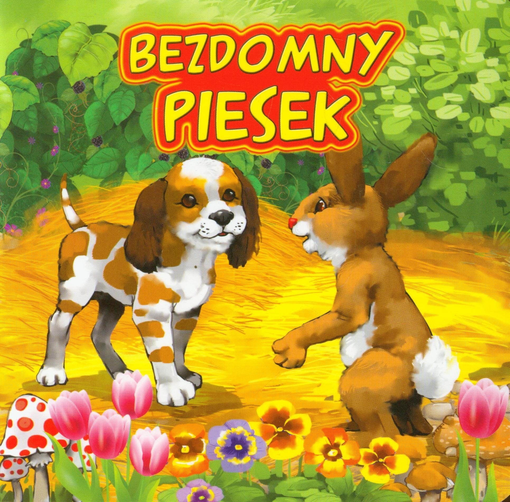 Bezdomny piesek book