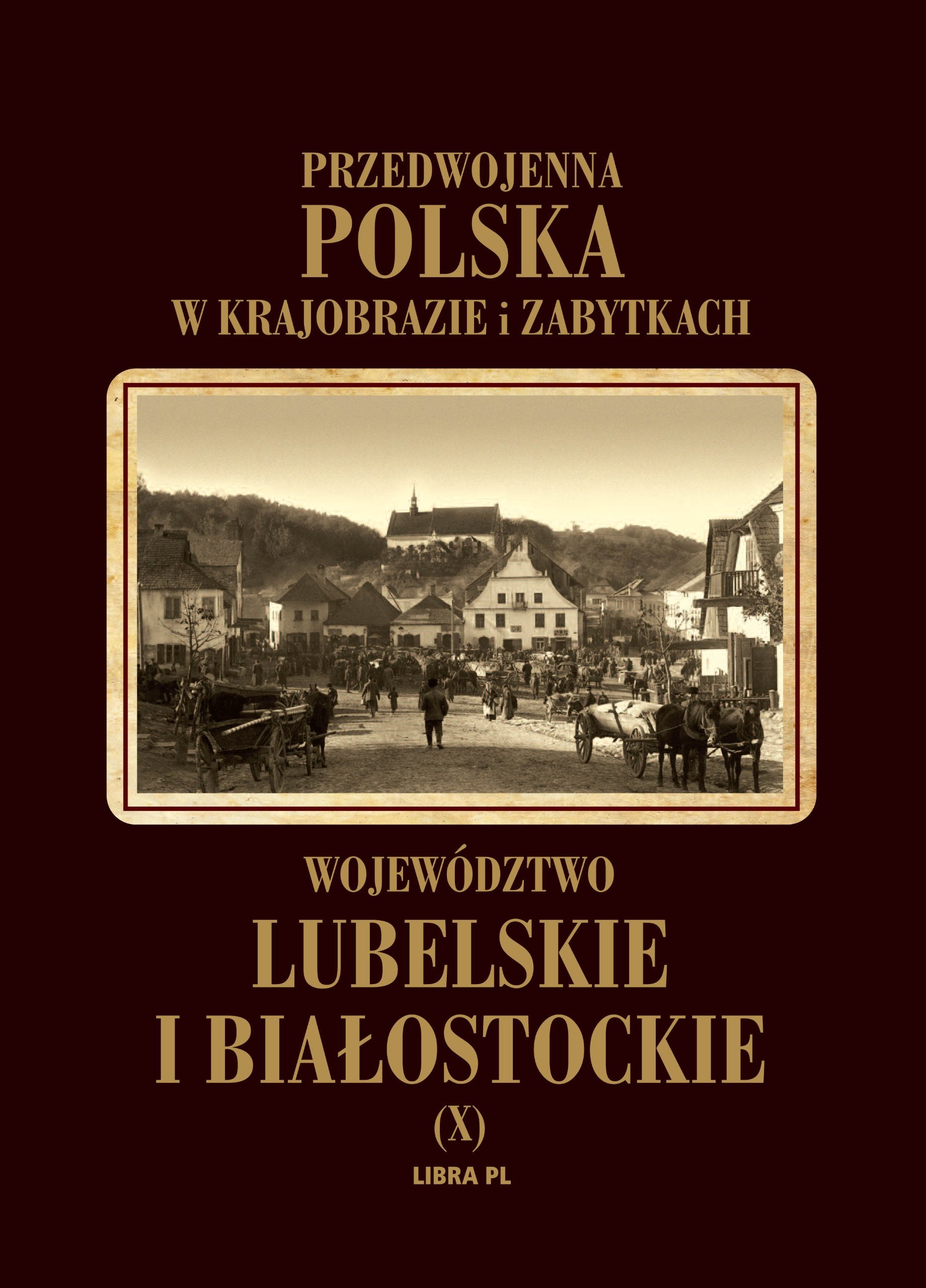 Wojewodztwo lubelskie i bialostockie Tom 10 book