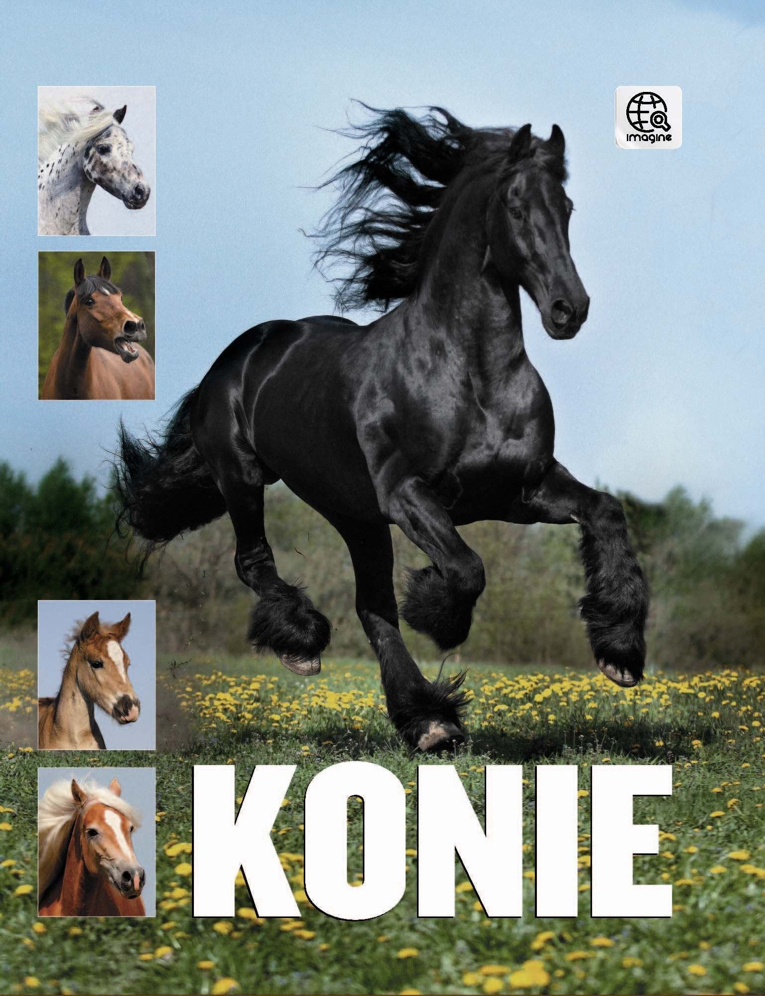 Konie Books