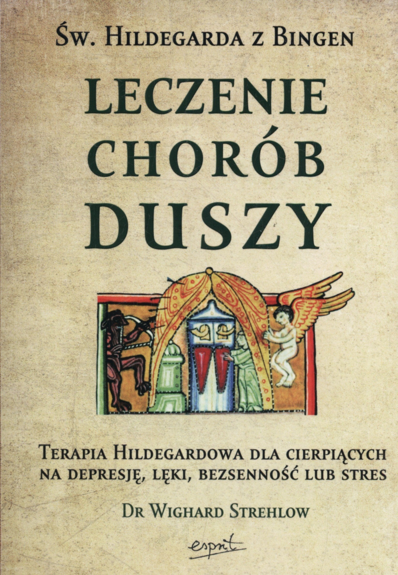 Sw. Hildegarda z Bingen Leczenie chorob duszy book