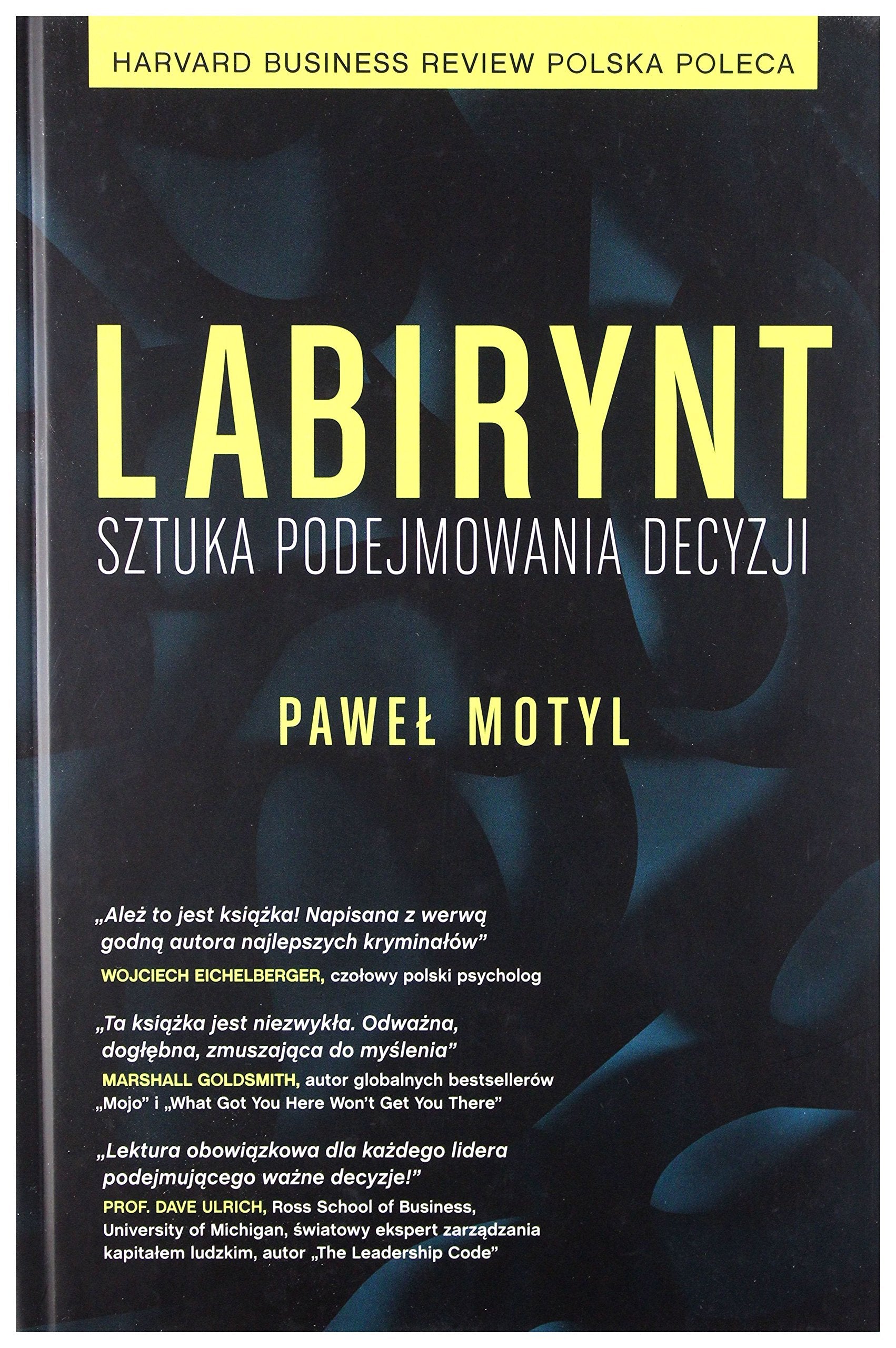Labirynt. Sztuka podejmowania decyzji Books