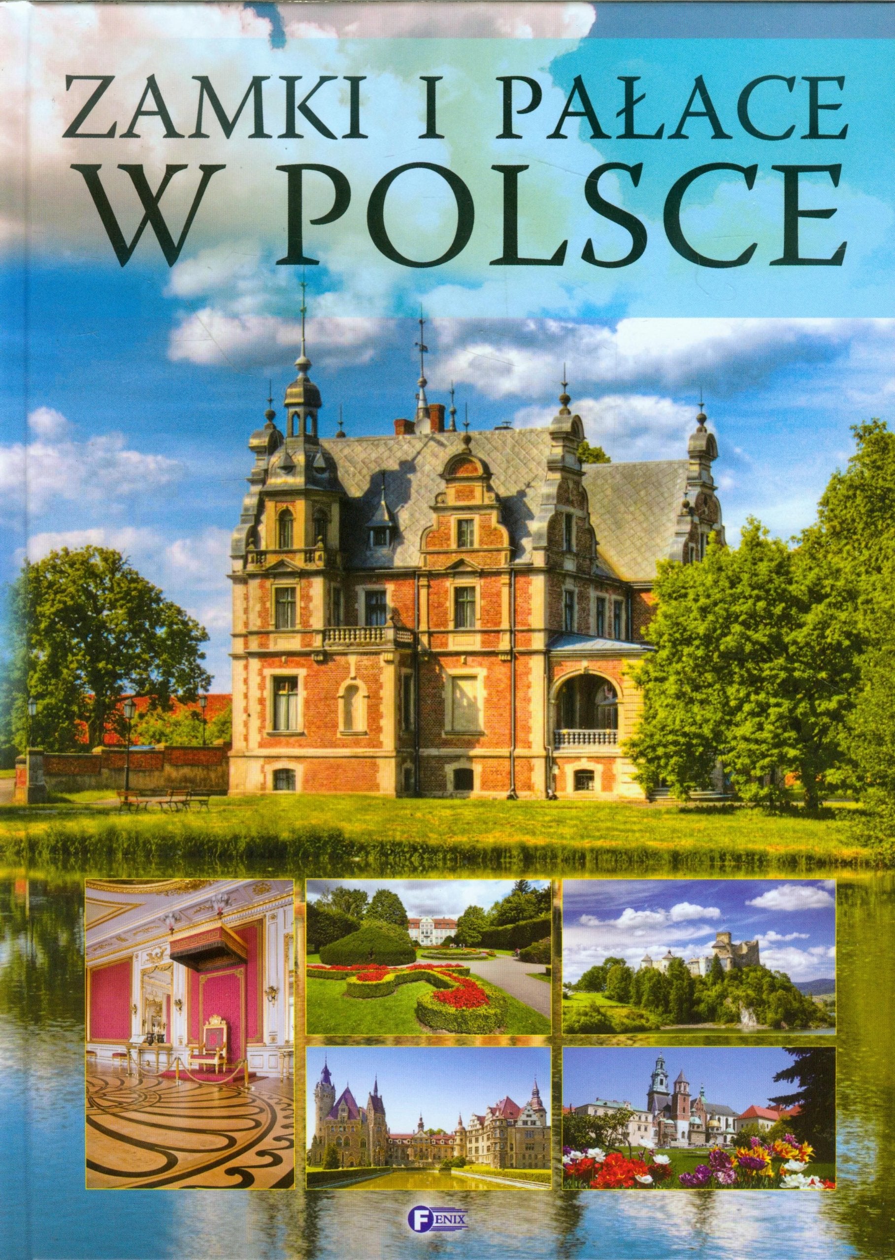 Zamki i pałace w Polsce book