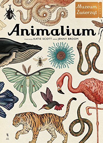 Animalium: Muzeum zwierząt Natural Sciences