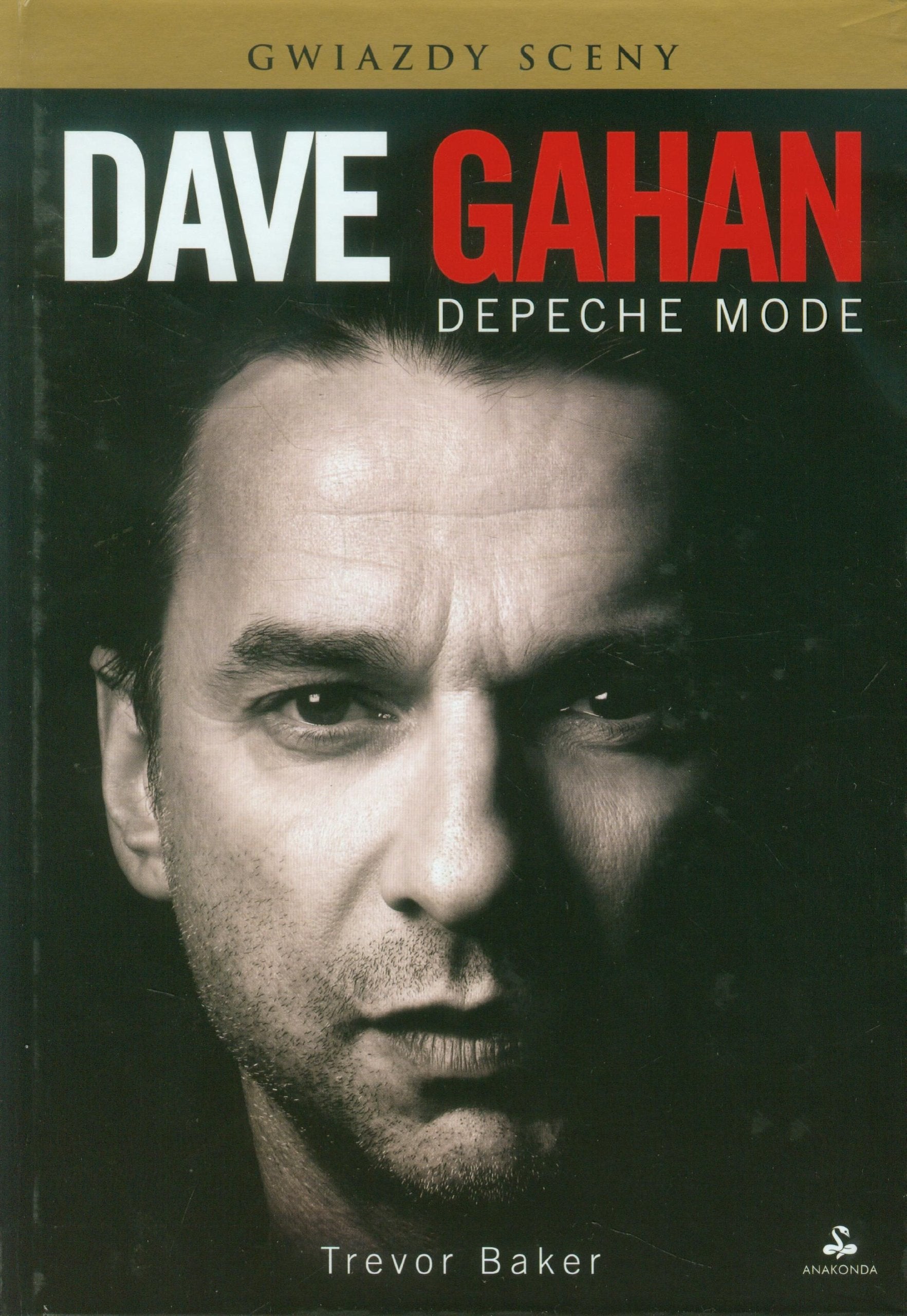 Dave Gahan Depeche Mode book