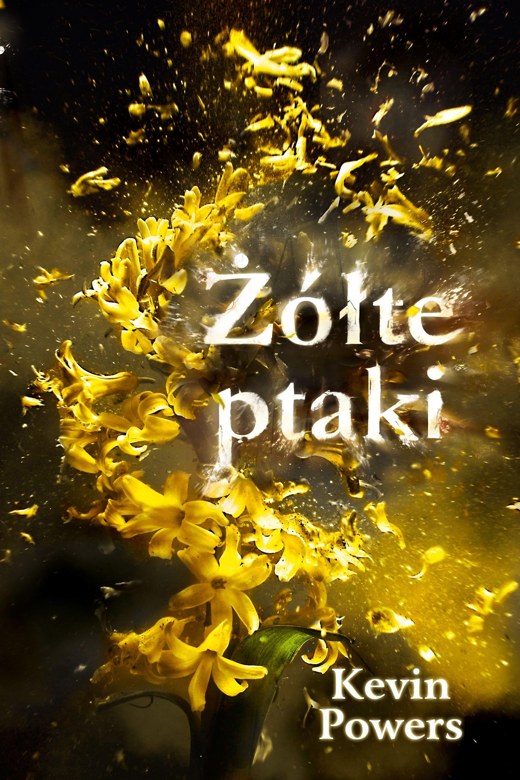 Żółte ptaki Books