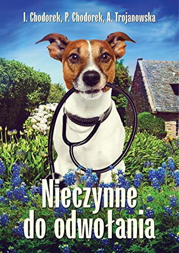 Nieczynne do odwolania Contemporary literature