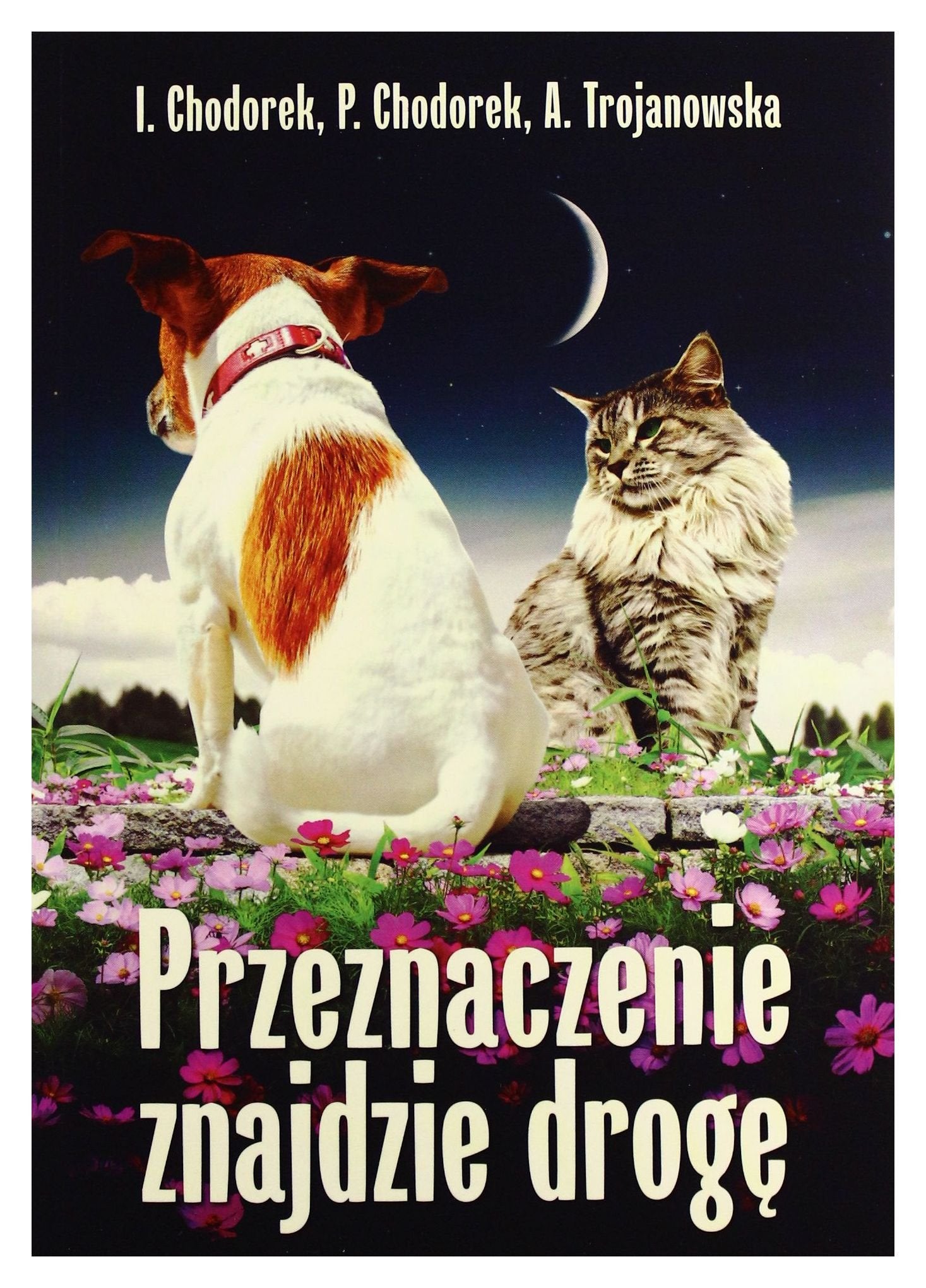 Przeznaczenie znajdzie droge Contemporary literature