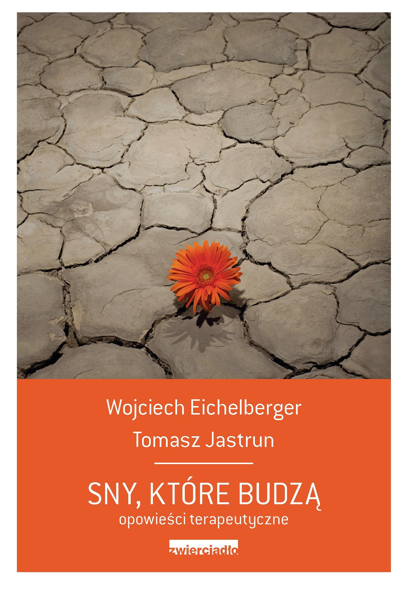 Sny, ktore budza: Opowieści psychoterapeutyczne Learning & Reference