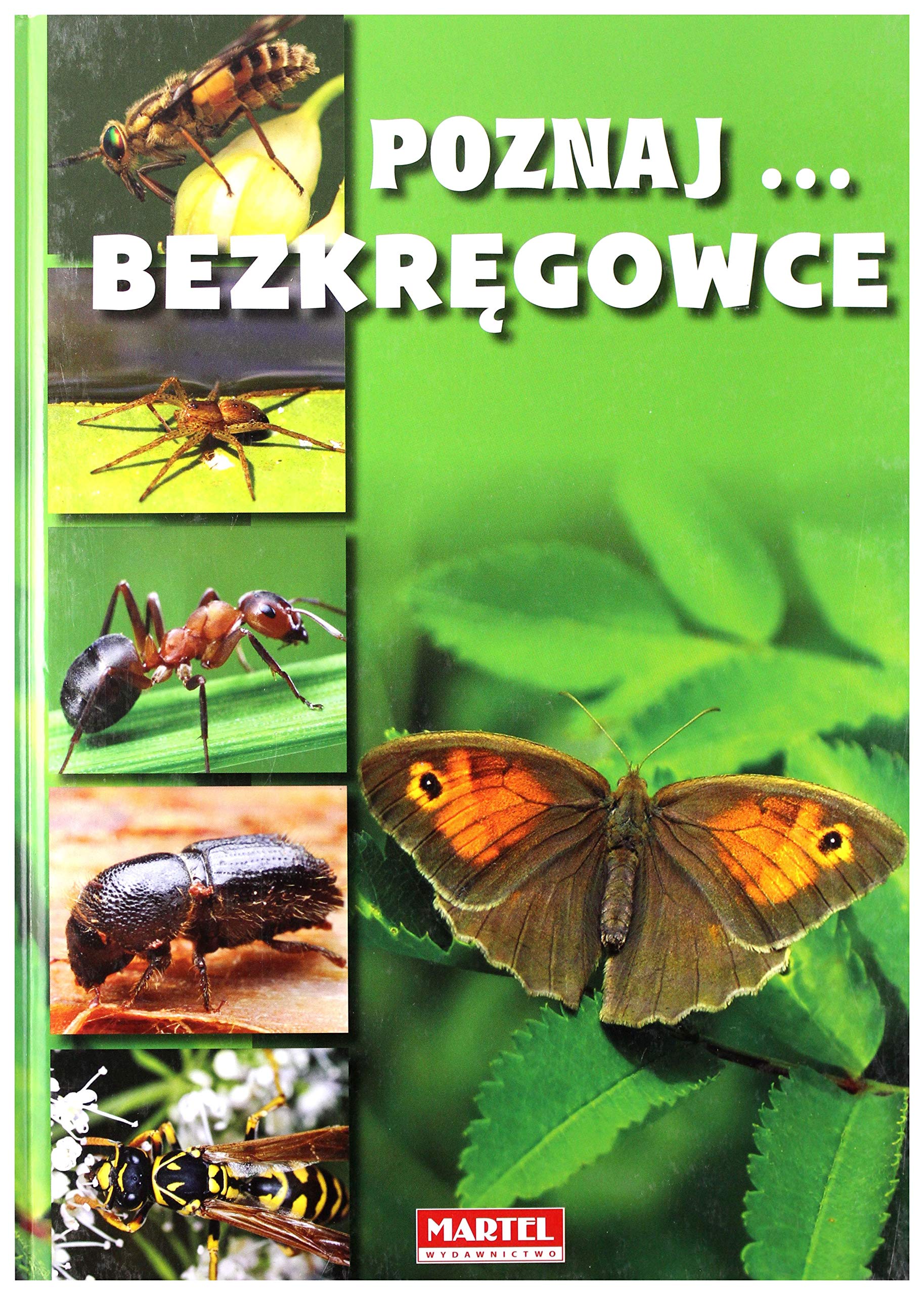 BezkrÄgowce Poznaj Books