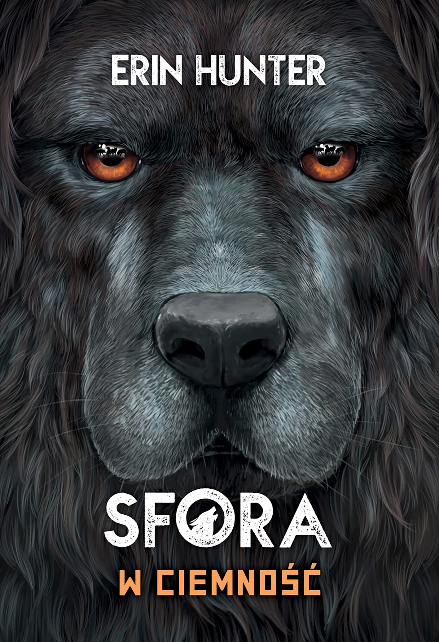 Sfora Tom 3 W Ciemność book