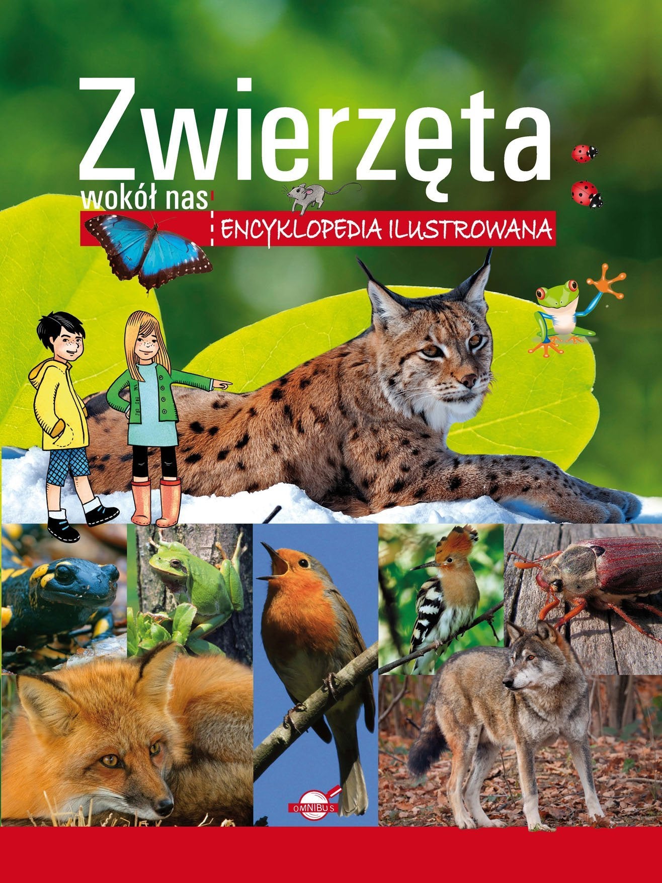 Zwierzęta wokół nas. Encyklopedia ilustrowana Books