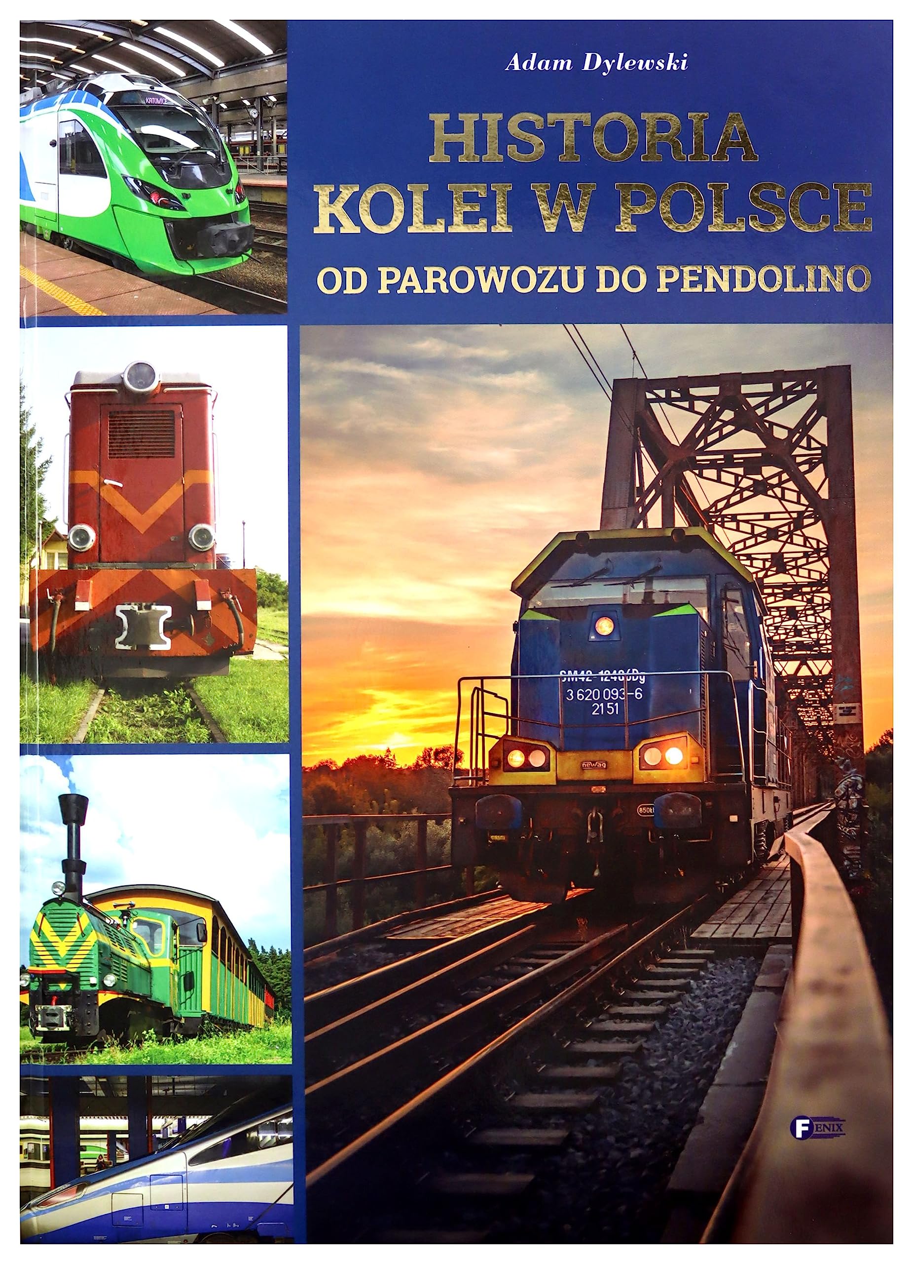Historia kolei w Polsce: Od parowozu do pendolino Books