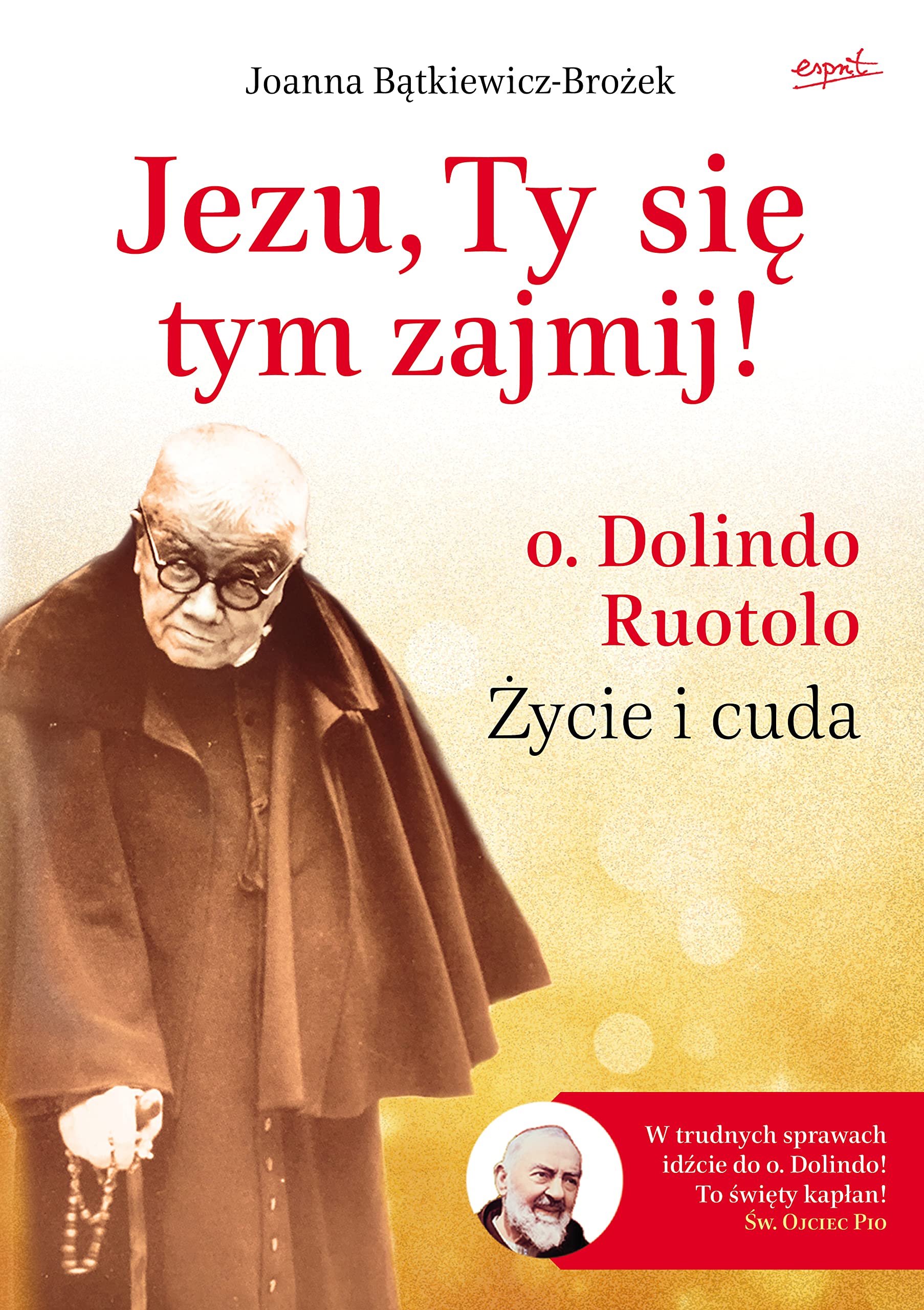 Jezu, Ty sie tym zajmij!: o. Dolindo Ruotolo. Życie i cuda Politics & Society