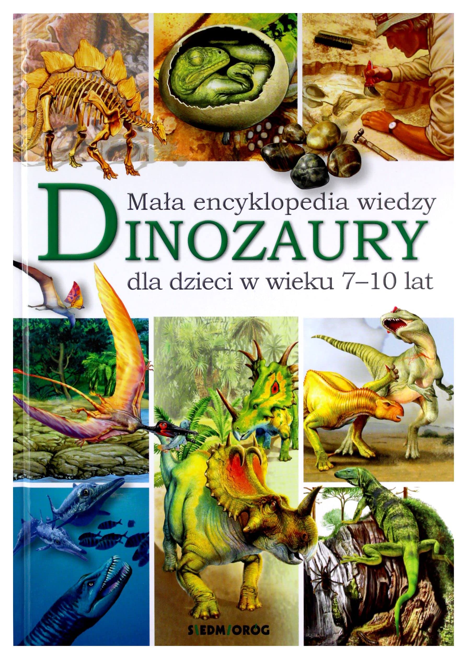 Dinozaury. MaĹa encyklopedia wiedzy - Barbara Majewska Books