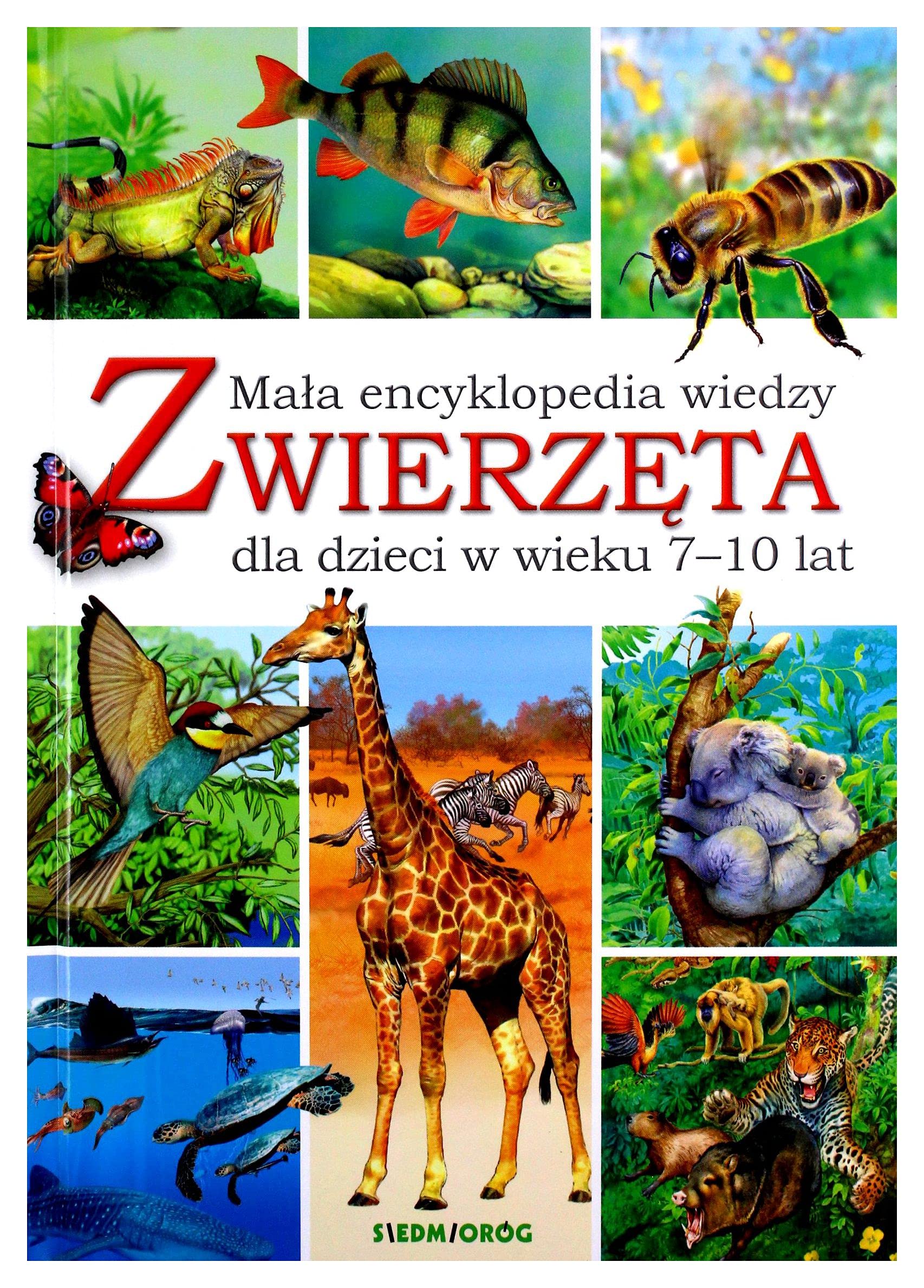 ZwierzÄta. MaĹa encyklopedia wiedzy - Eryk Chilmon Books