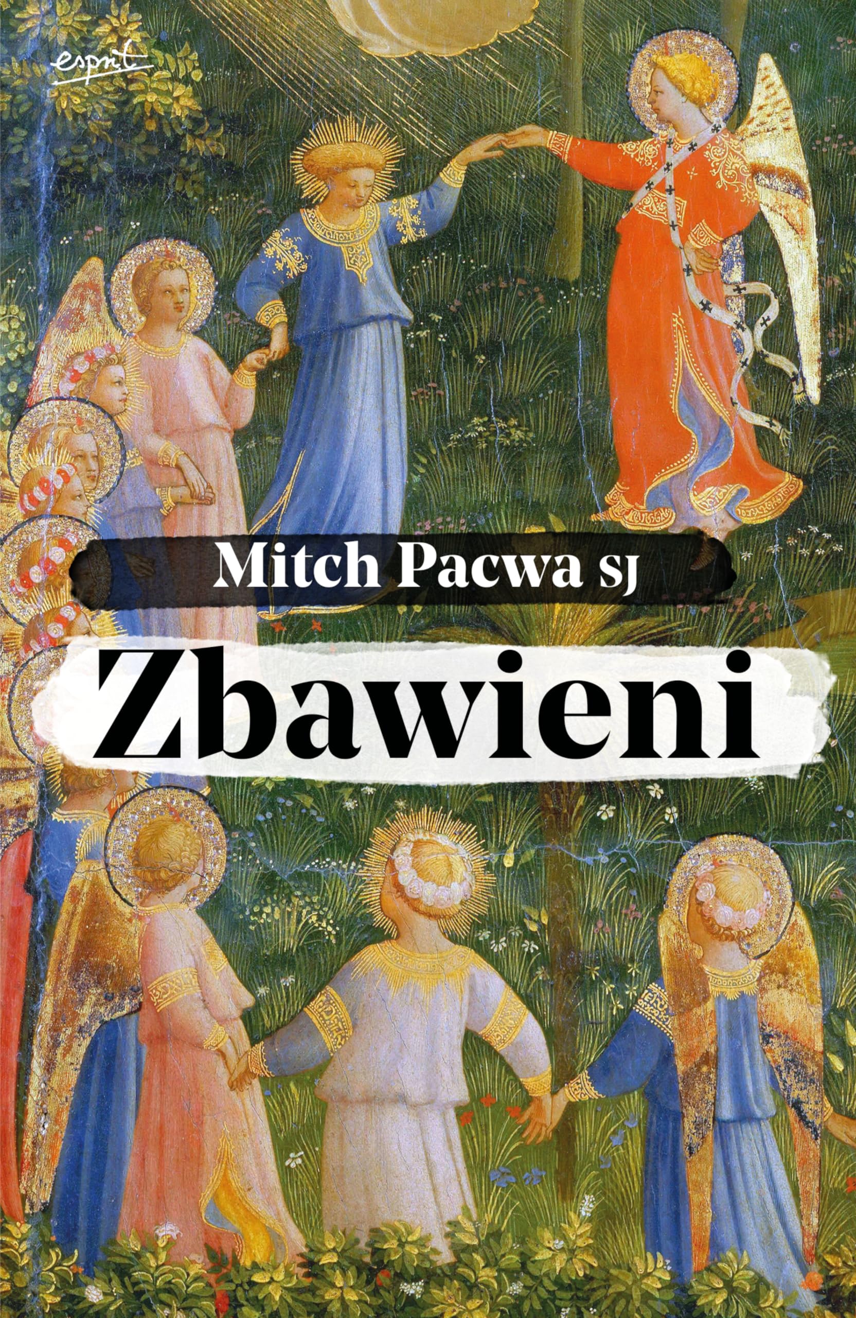 Zbawieni: Przewodnik biblijny dla katolików Books