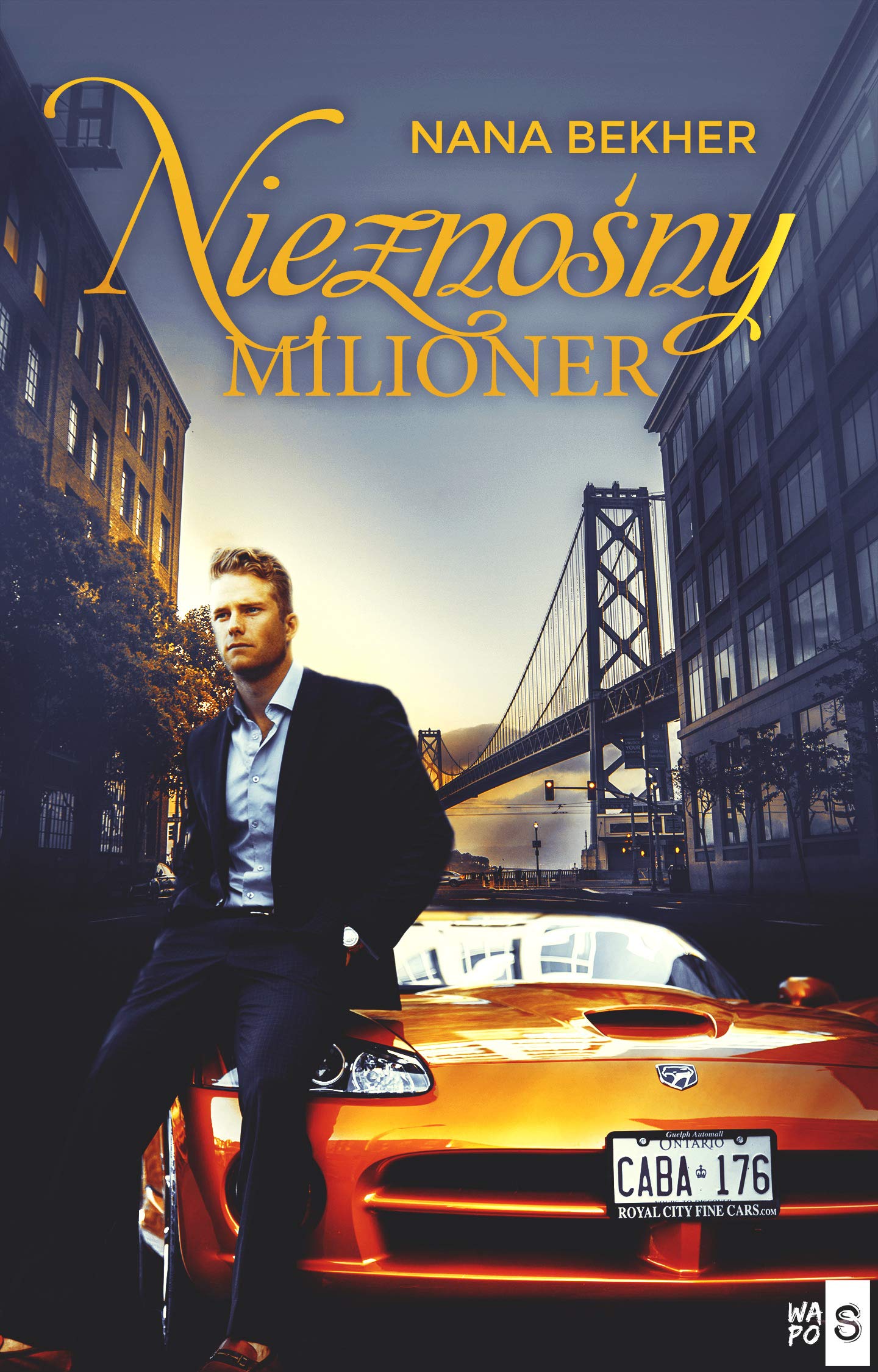 Nieznośny milioner book