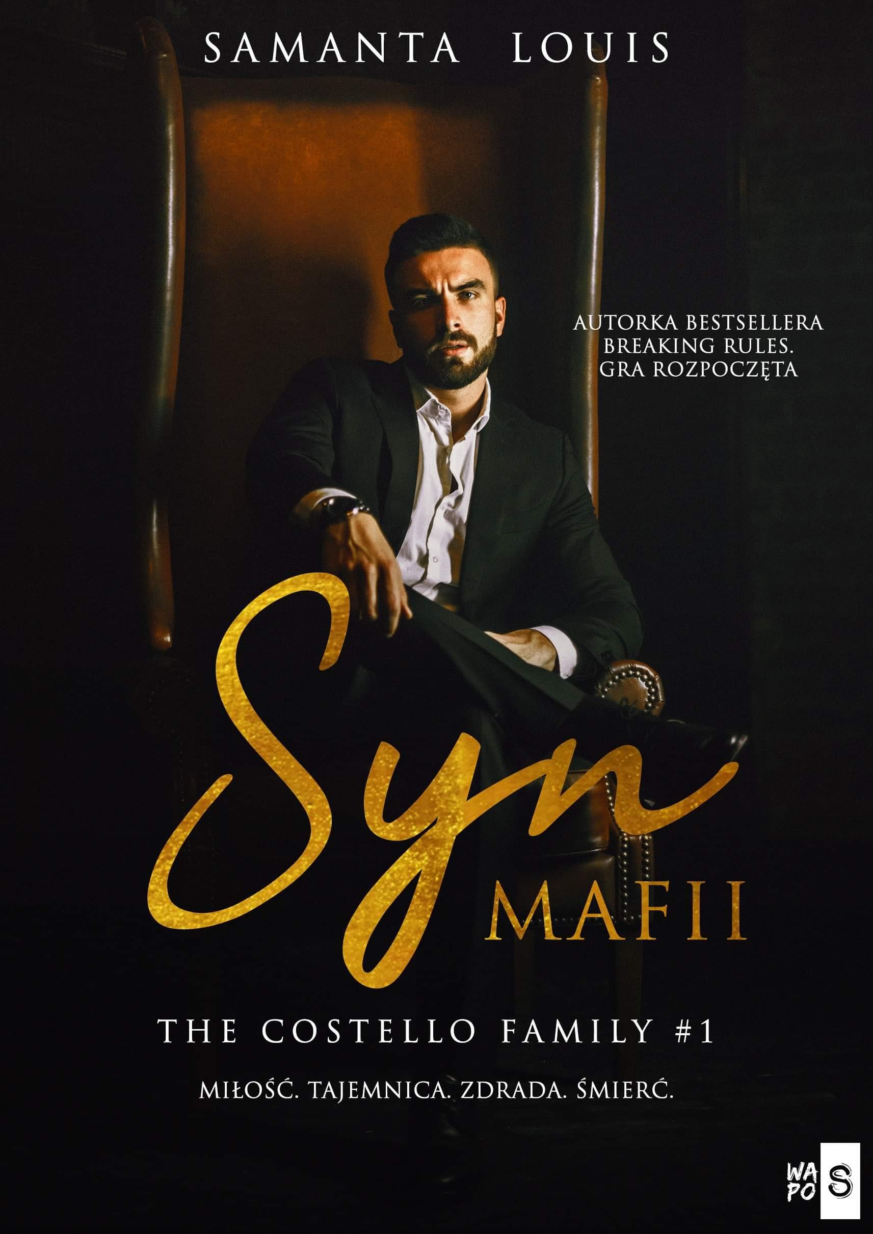 Syn mafii. Tom 1 Books