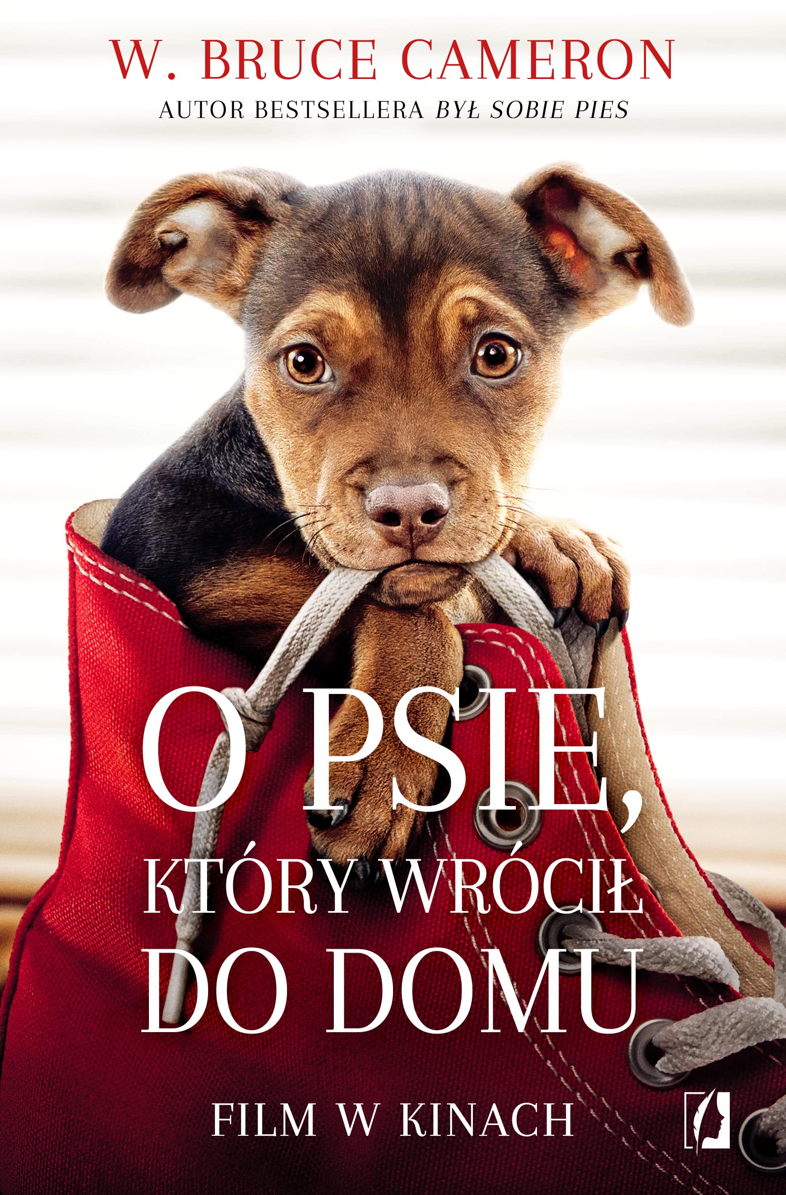 O psie który wrócił do domu Books