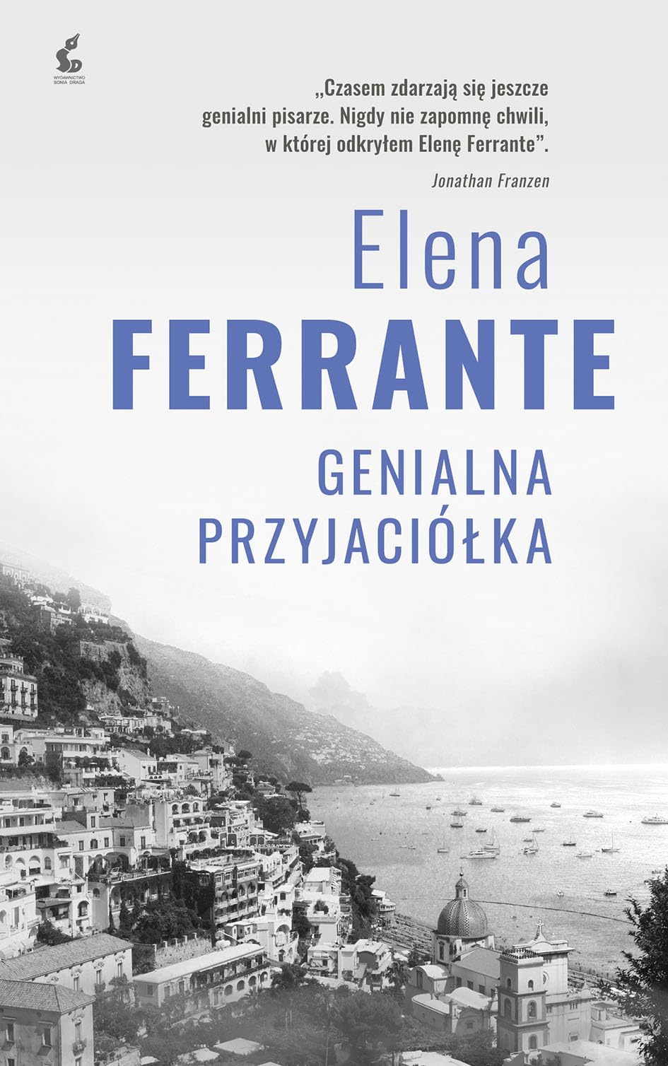 Cykl neapolitański (1) (Genialna przyjaciółka, Band 1) Books