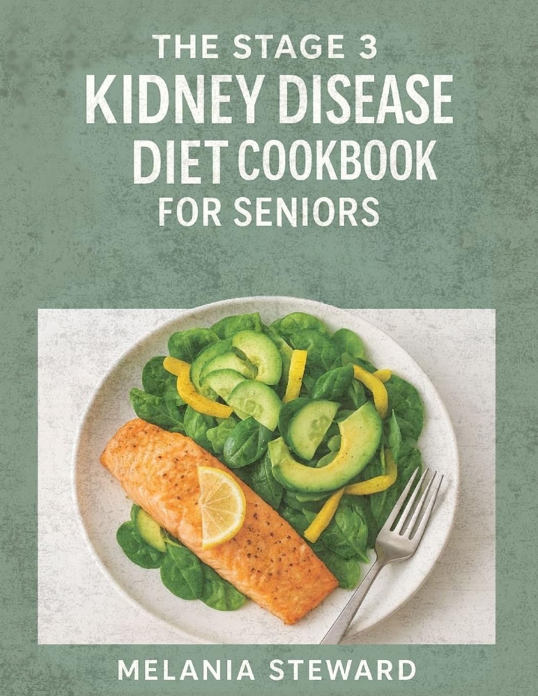 THE STAGE 3 KIDNEY DISEASE DIET COOKBOOK FOR SENIORS Leisure, Home & Garden