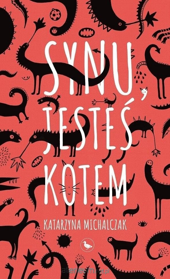 Synu, jesteś kotem Books