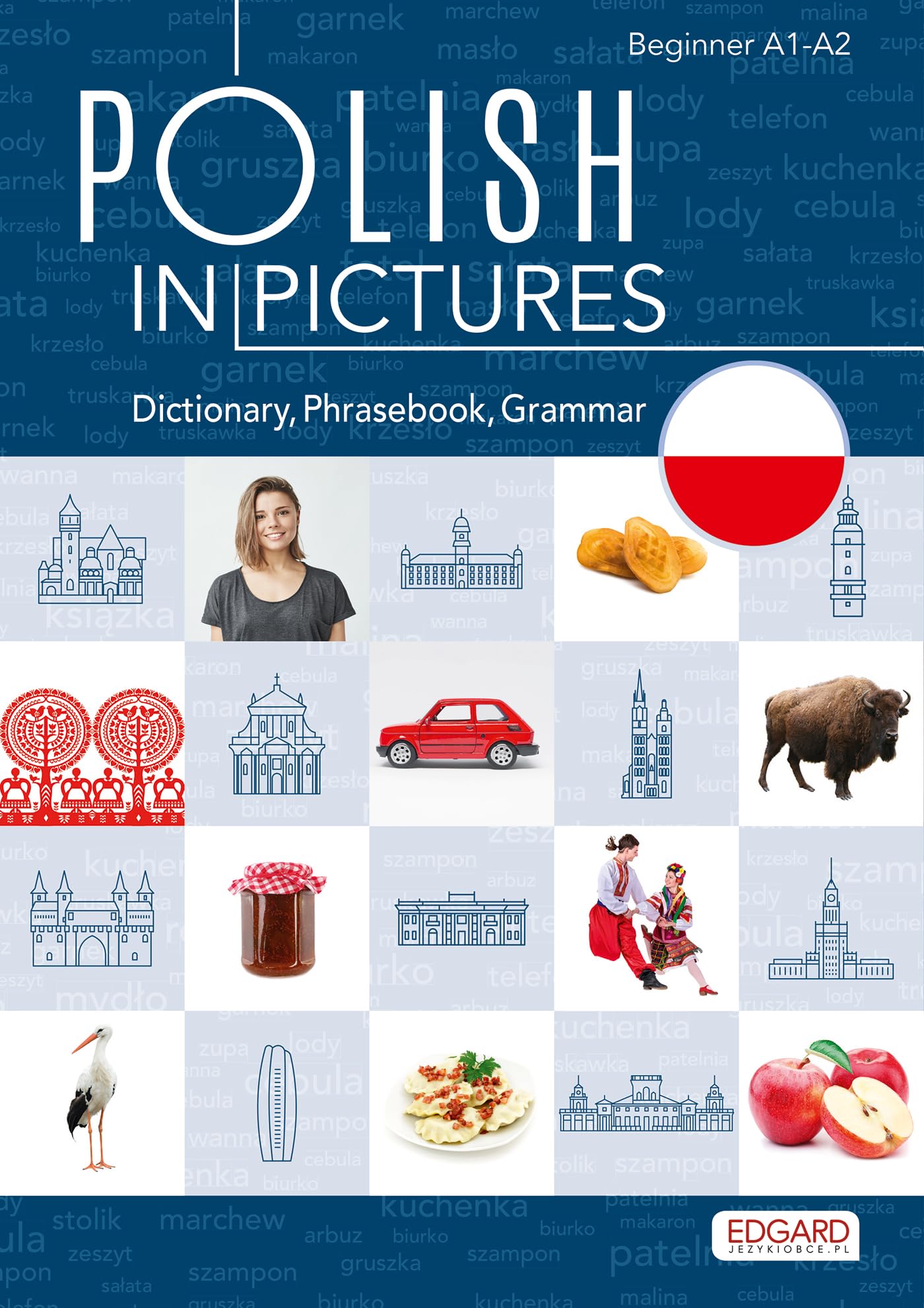 Polish in pictures/Polski w obrazkach Słówka, rozmówki, gramatyka Books