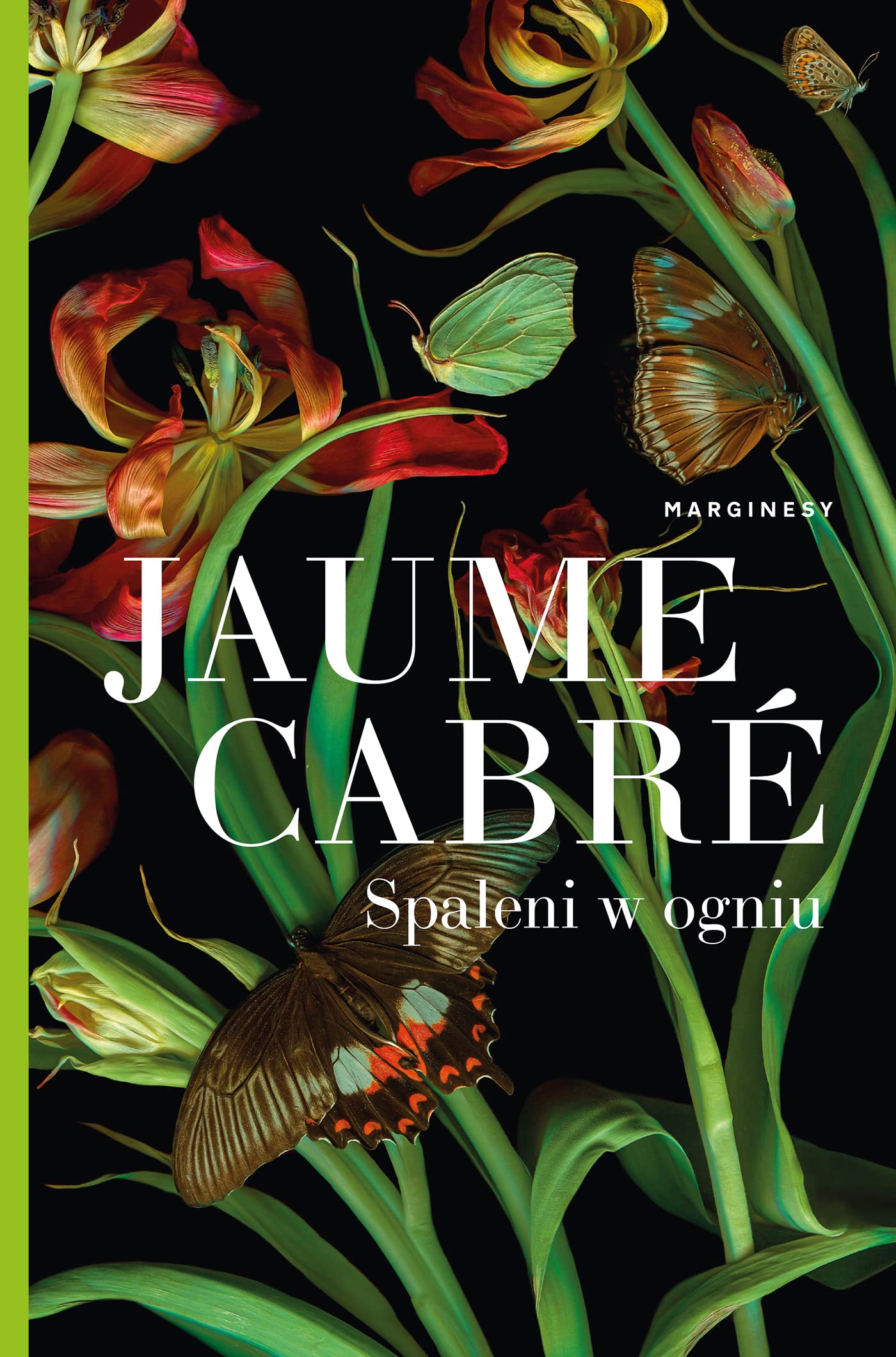 Product Image: Spaleni W Ogniu