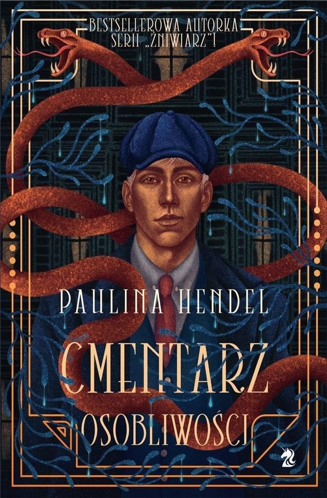 Cmentarz osobliwości book