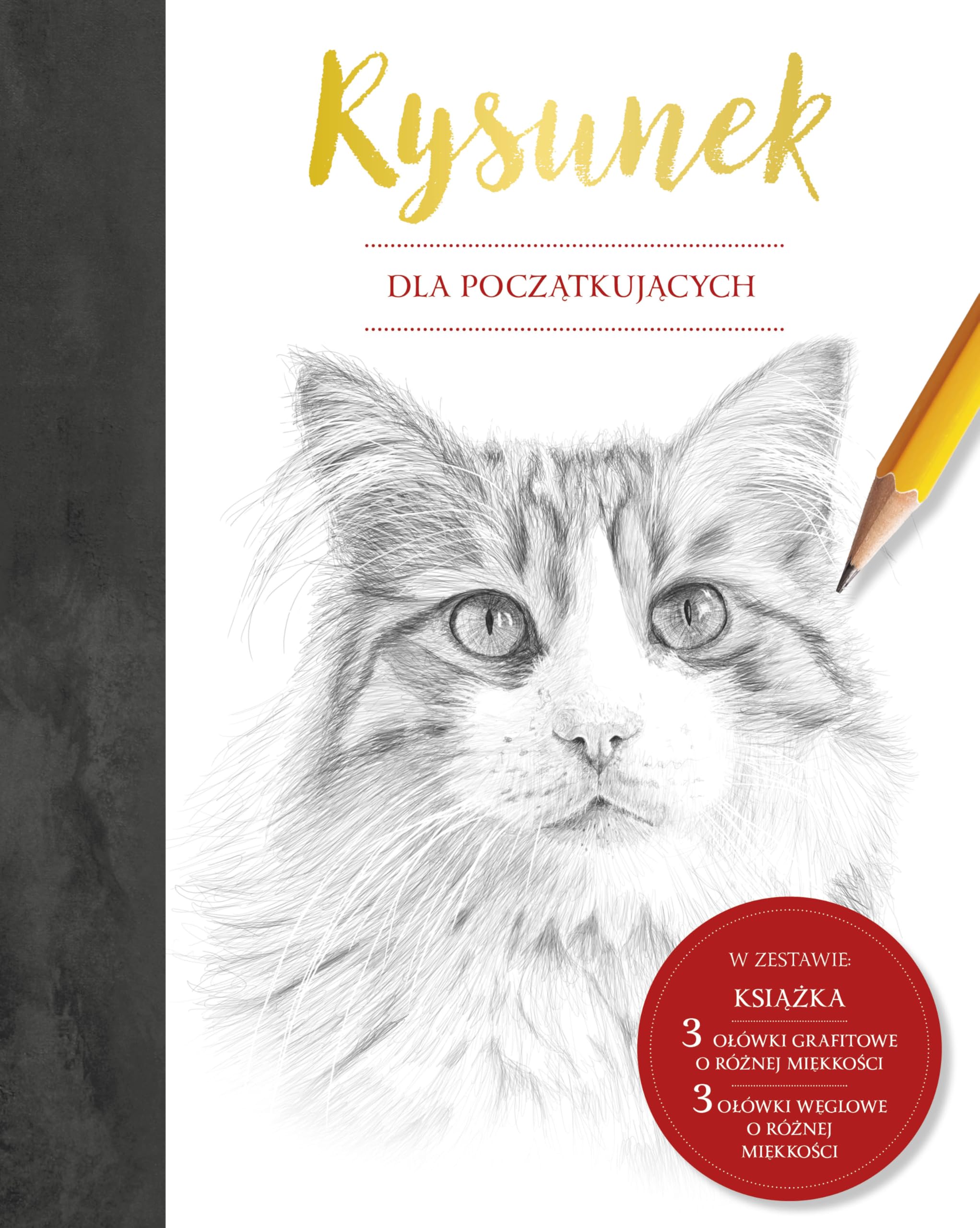 Rysunek dla początkujących Books