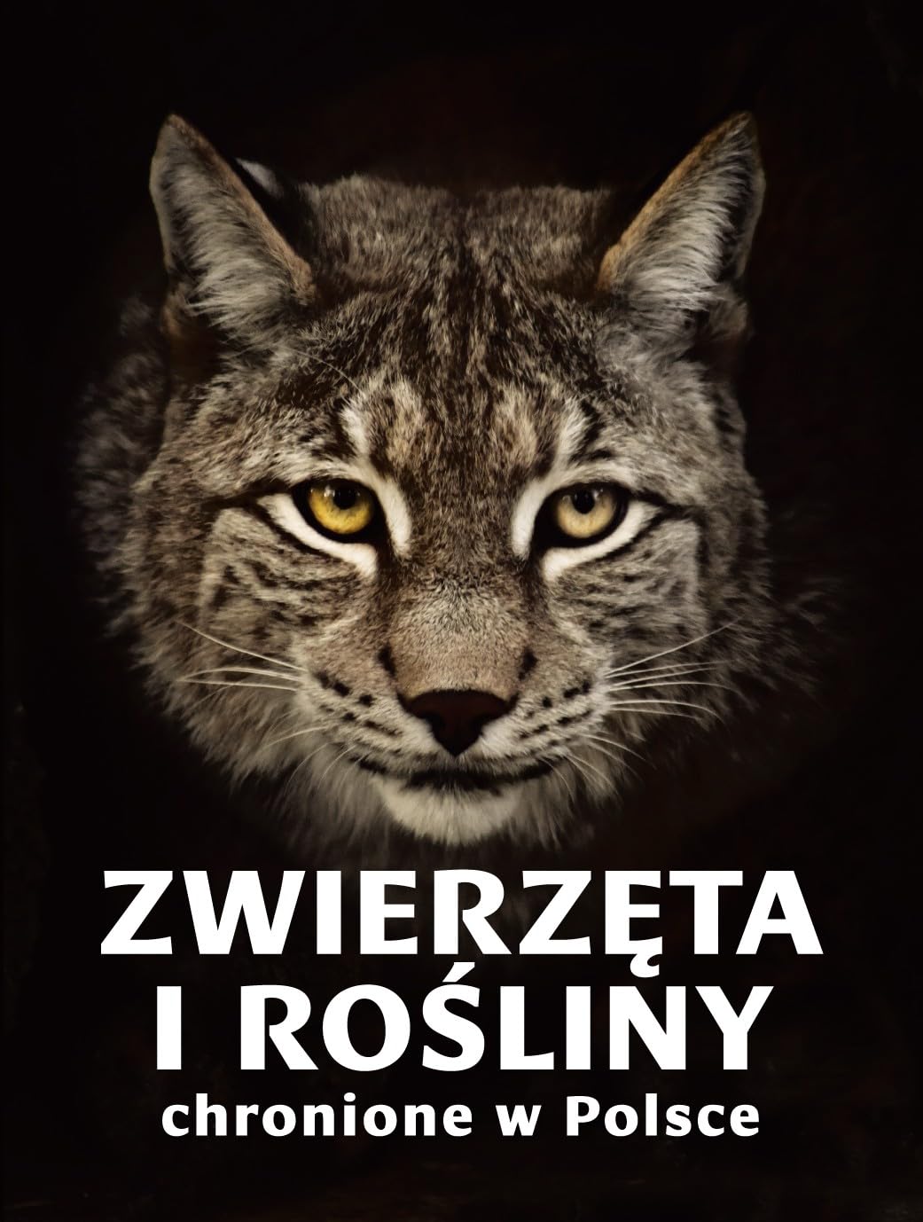 Zwierzęta i rośliny chronione w Polsce Books