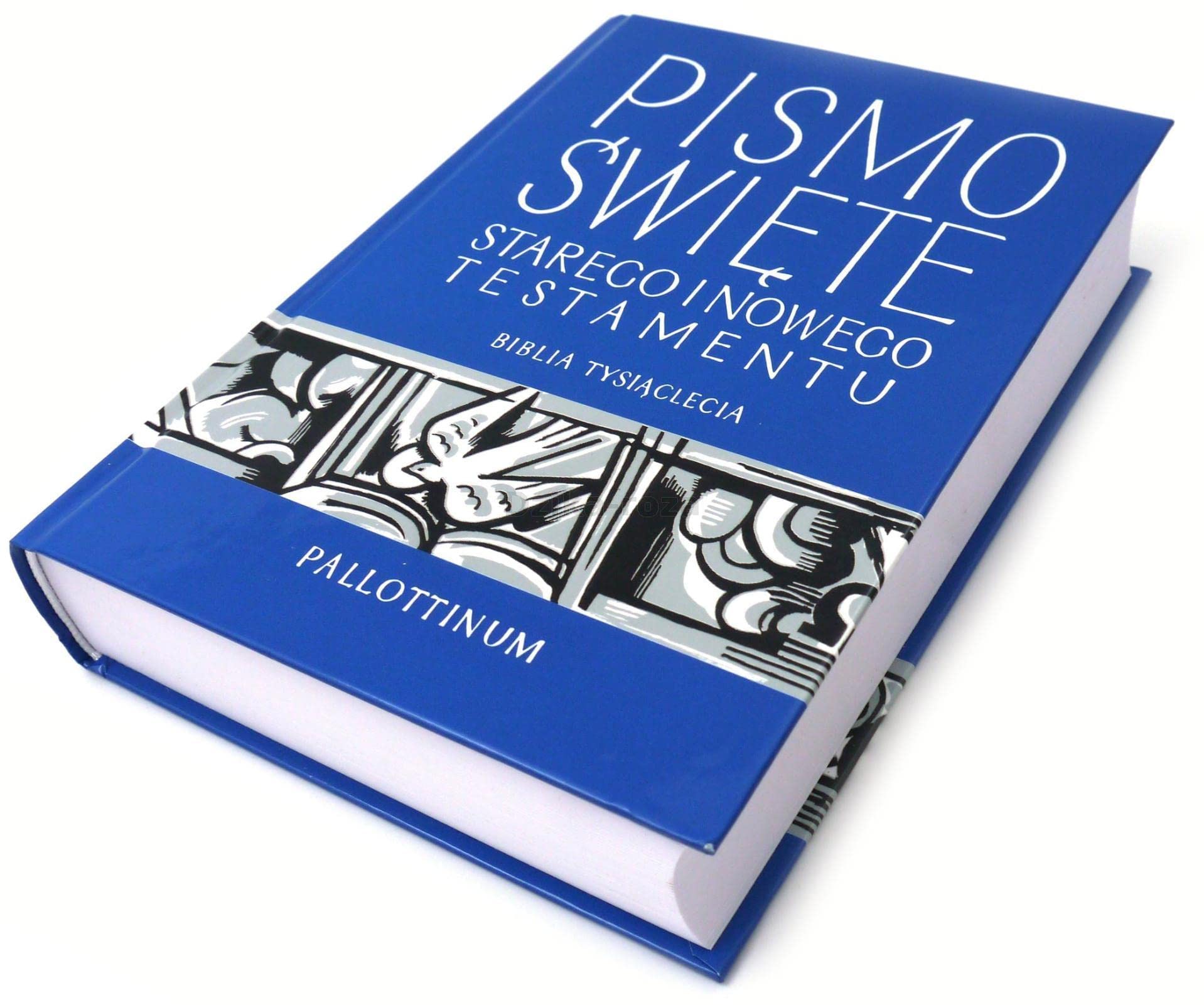 Biblia Tysiaclecia. Pismo Swiete Storego i Nowego Testamentu Books