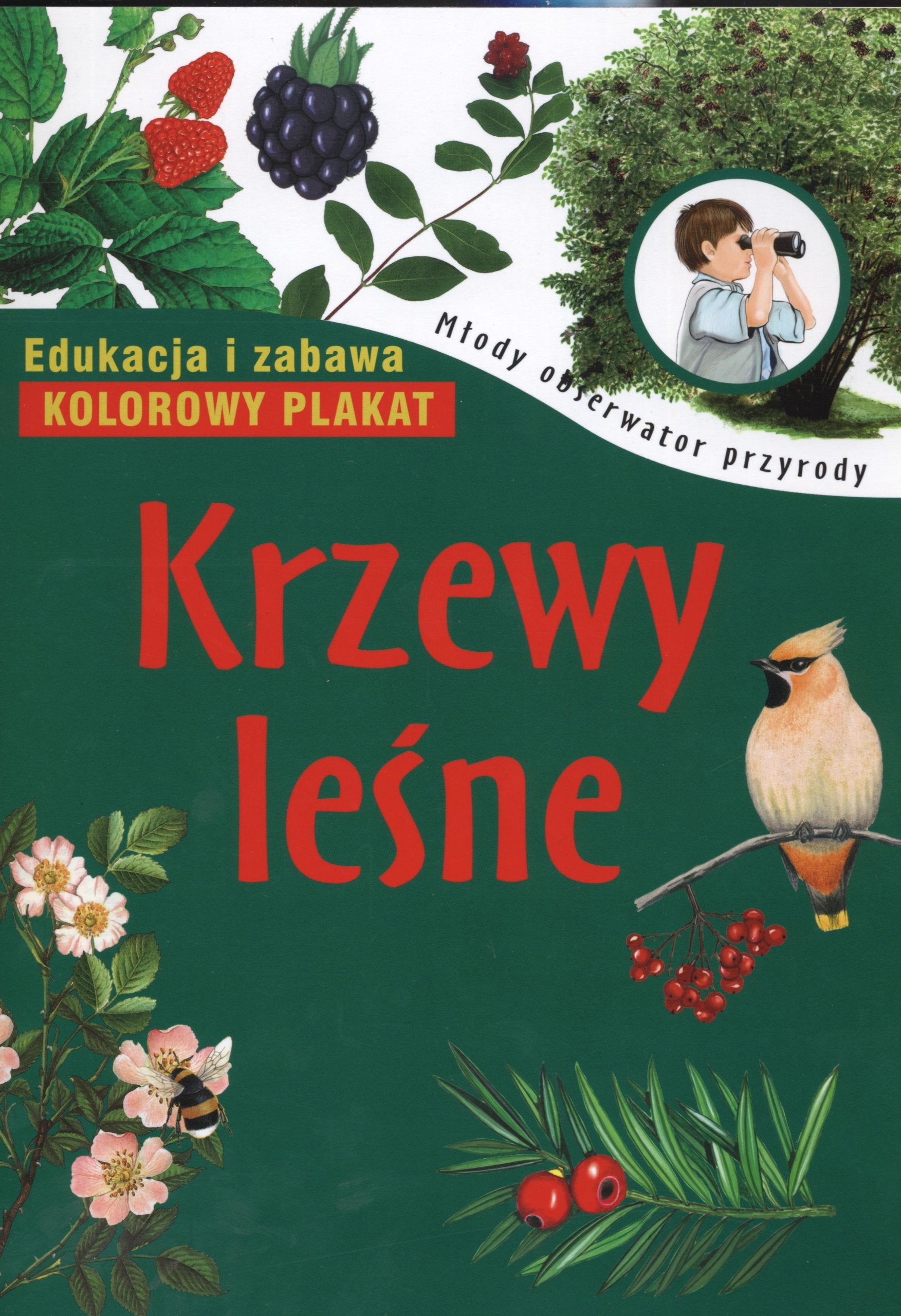 Krzewy leśne: Edukacja i zabawa (MŁODY OBSERWATOR PRZYRODY) Books