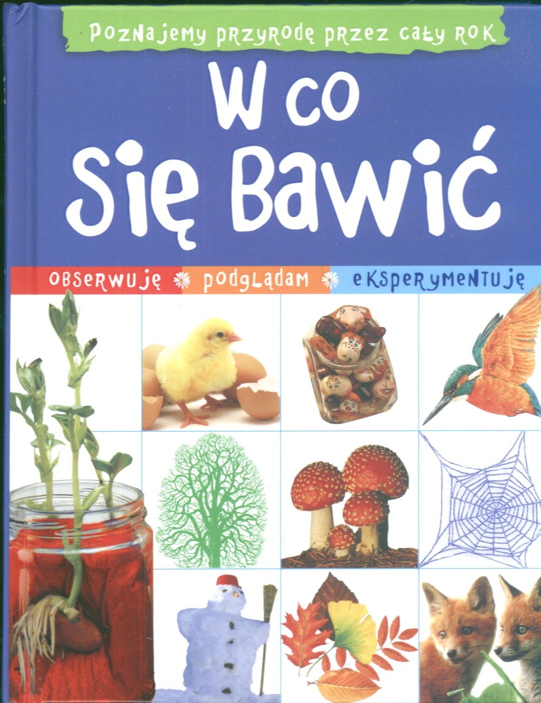 W co się bawić Pomysły na cały rok Books