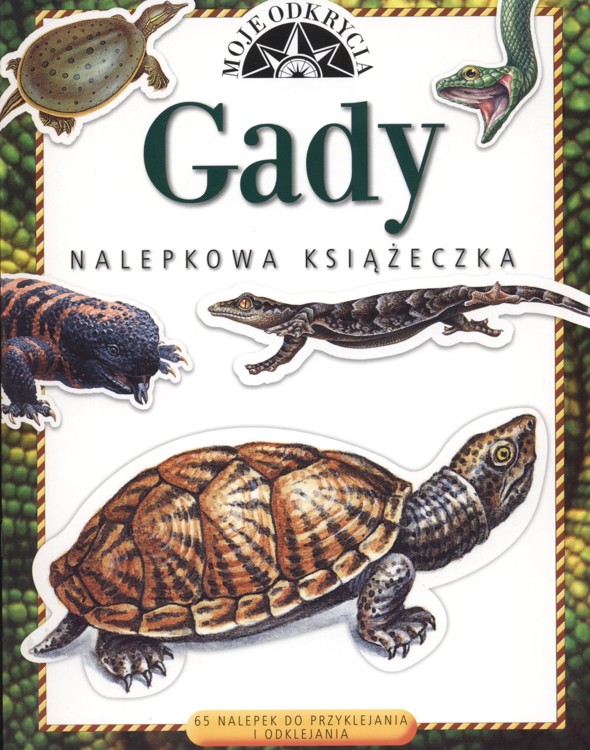 Gady Moje odkrycia: 65 nalepek do przyklejania i odklejania Leisure & Fun