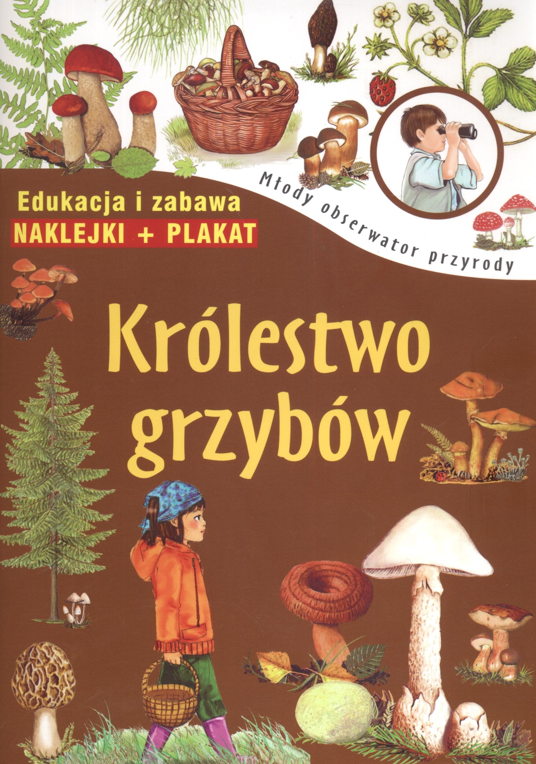 Królestwo grzybów Młody obserwator przyrody: Edukacja i zabawa book