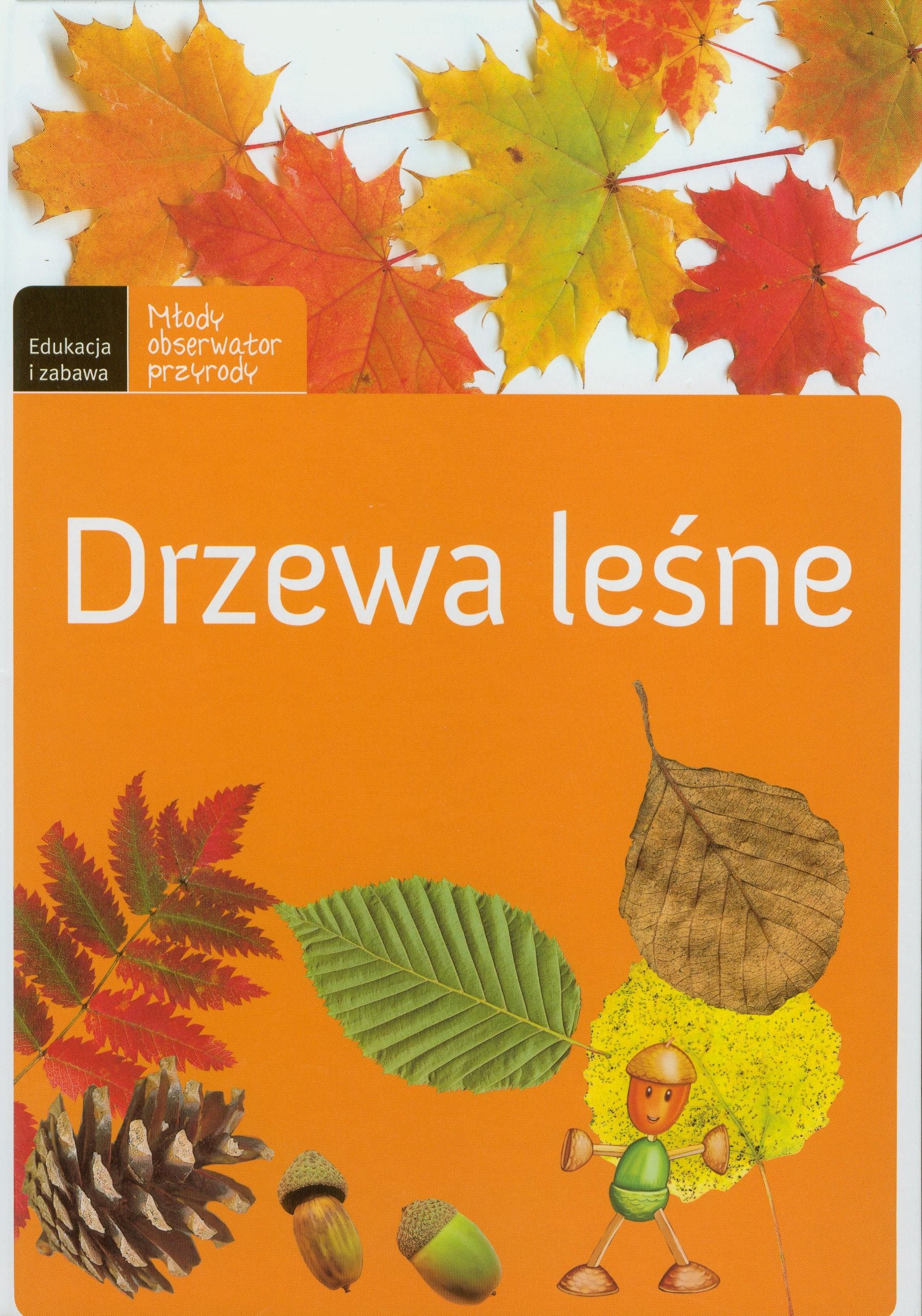 Drzewa leśne (MŁODY OBSERWATOR PRZYRODY) Books
