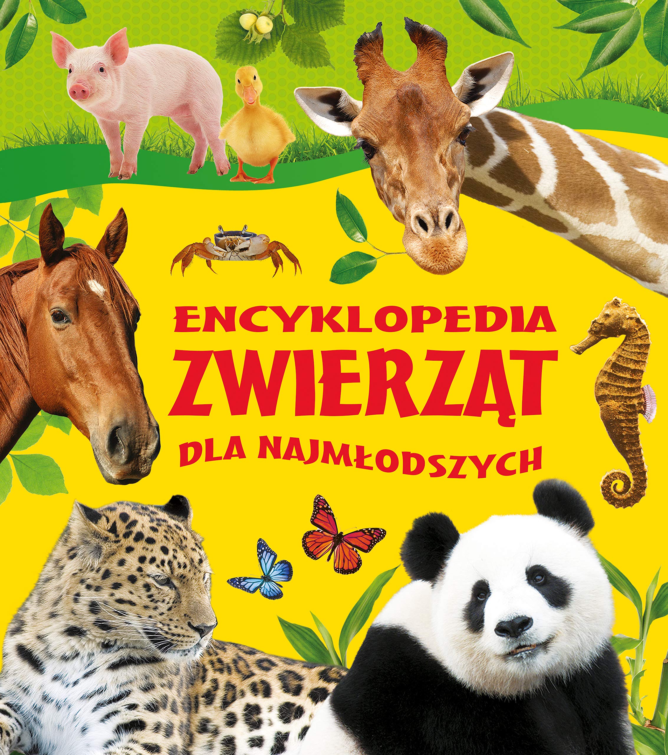 Encyklopedia zwierząt dla najmłodszych Books