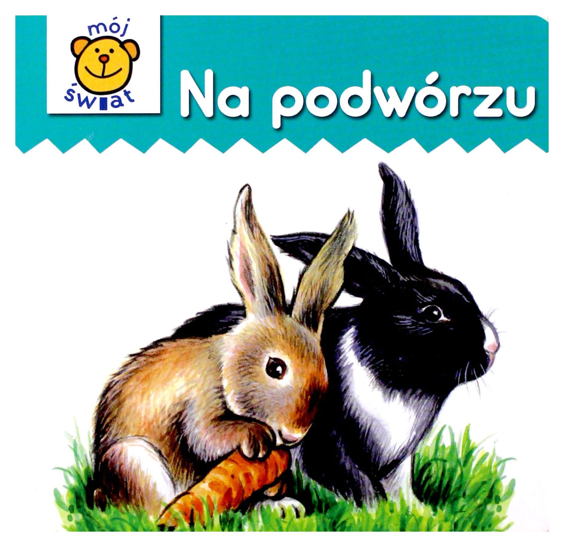 Na podwórzu - karton Books