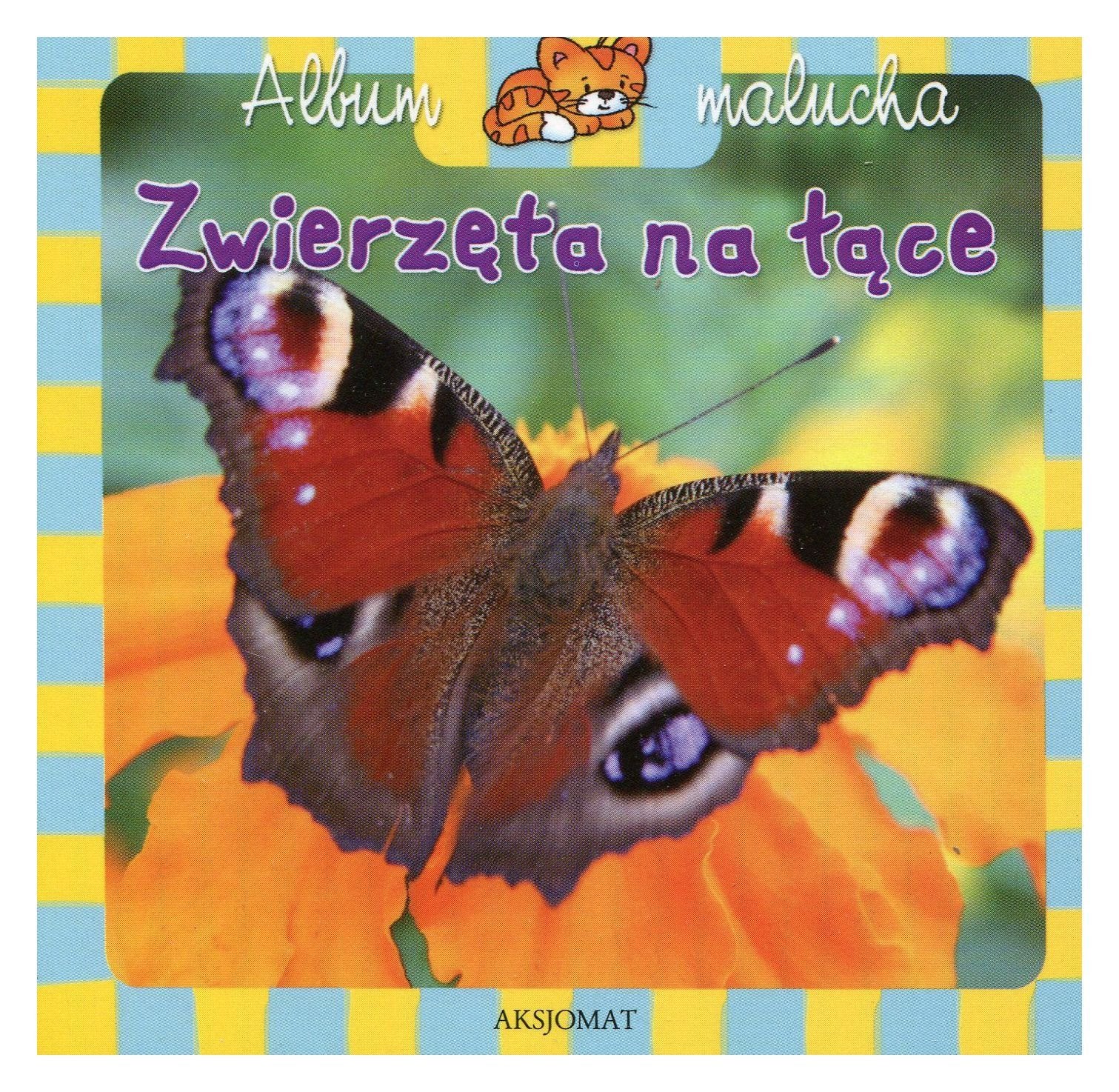 Album malucha Zwierzeta na lace Books