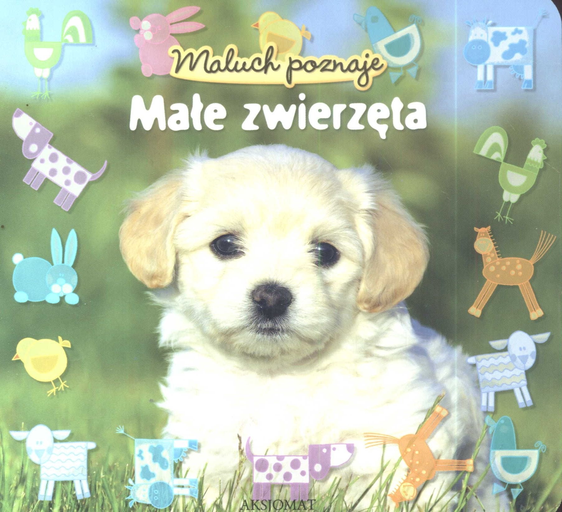 Maluch poznaje Małe zwierzęta Books