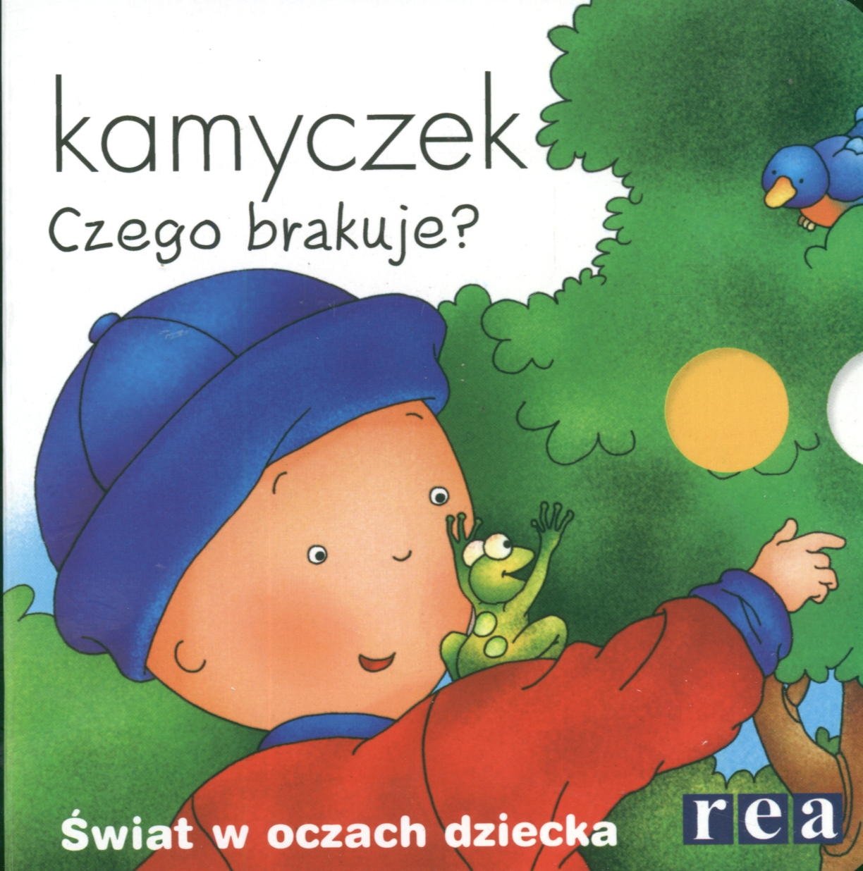 Kamyczek Czego brakuje? book